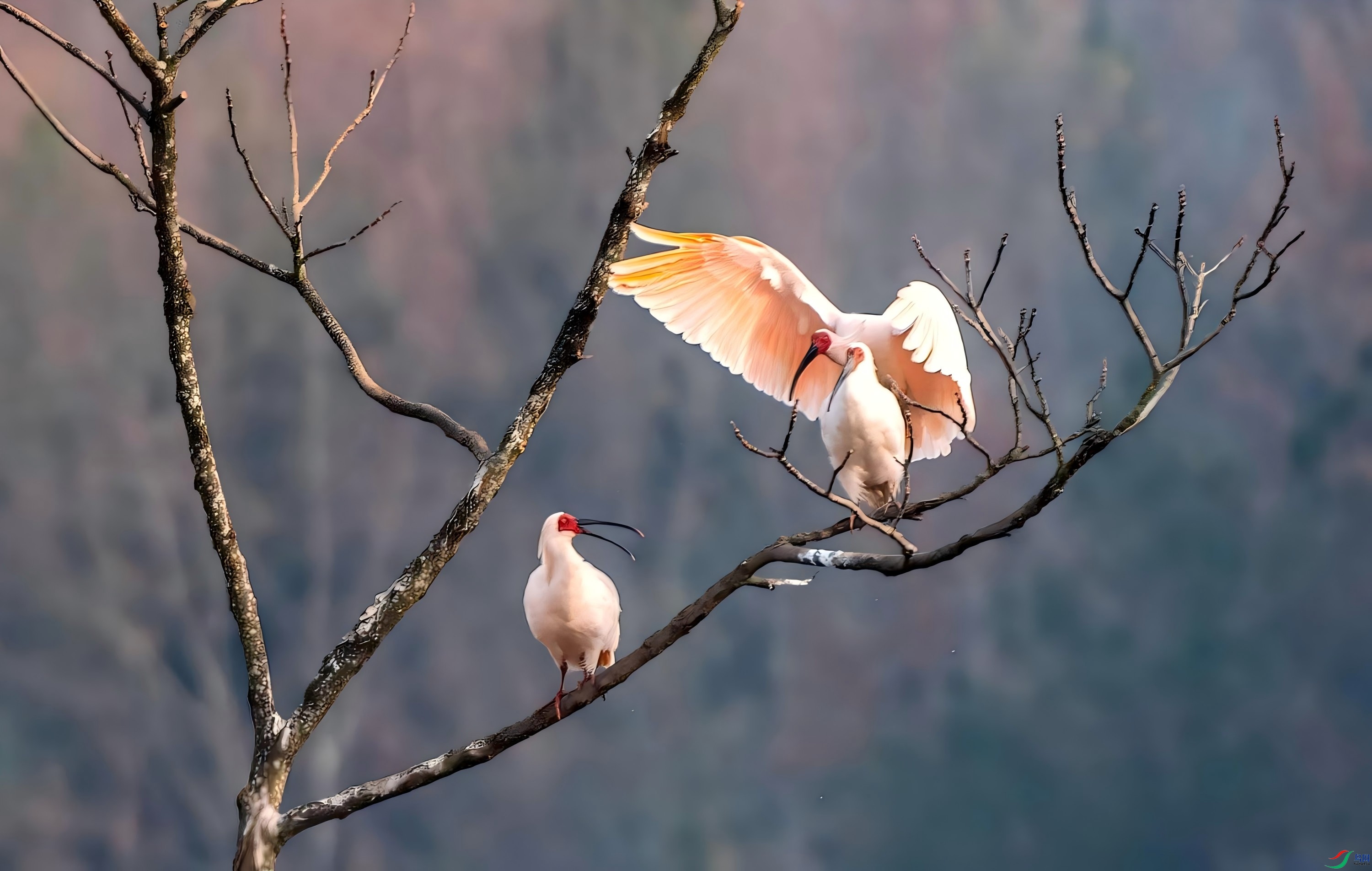 DSC_0760 ����(1)(1)(1).jpg