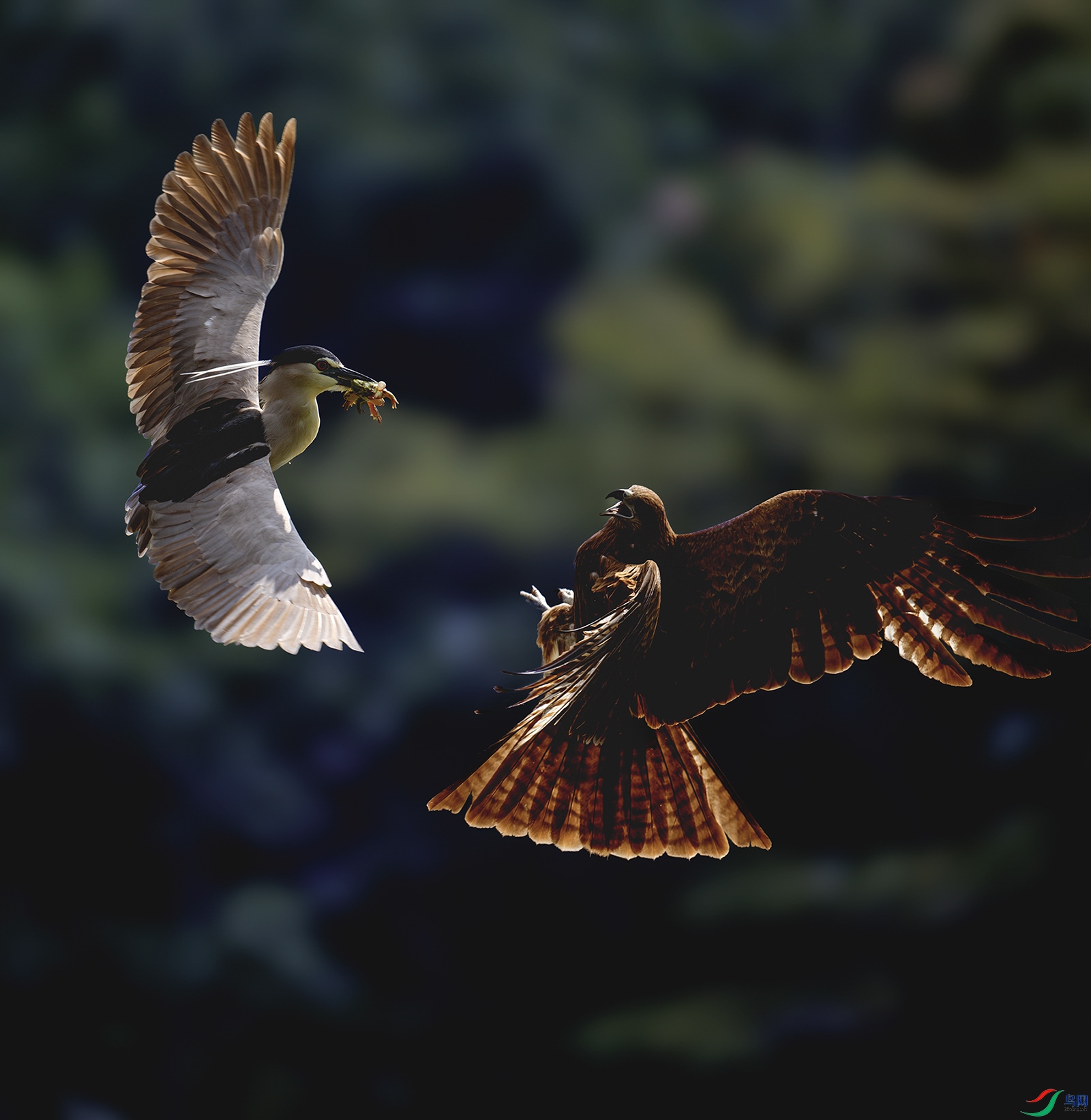 DSC_1660-����ǿ-NR ���� 2.jpg