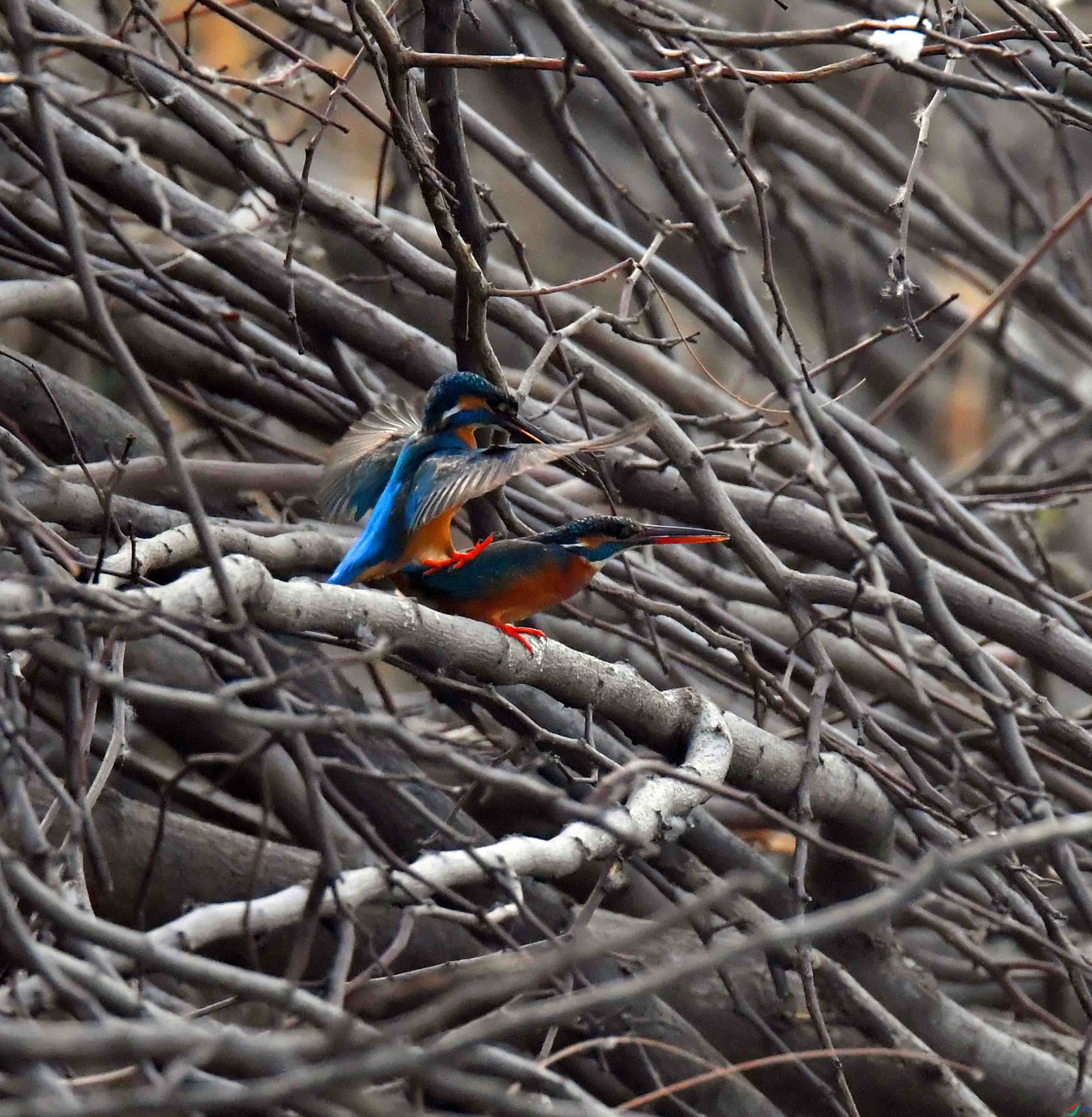 DSC_2160.JPG