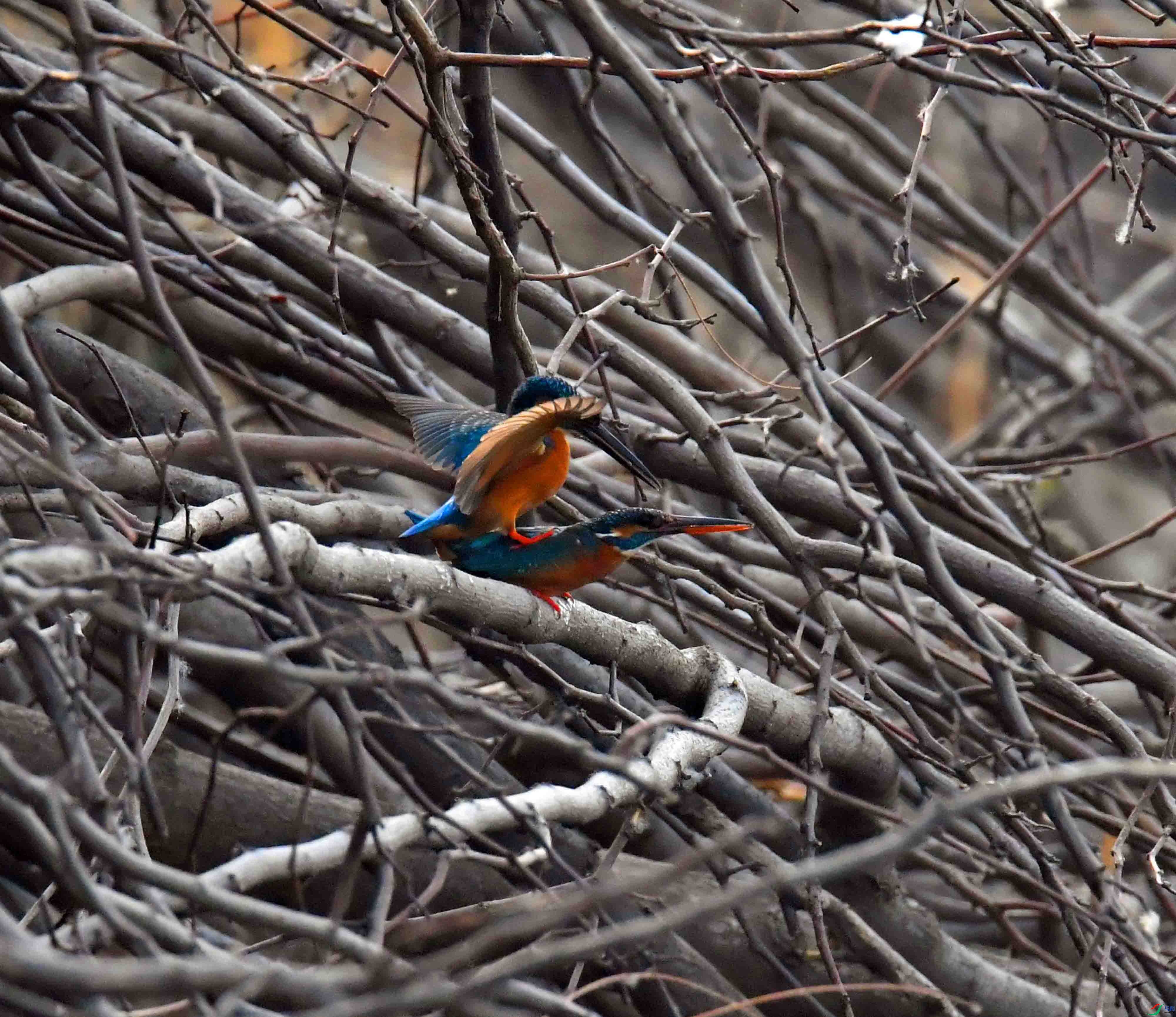 DSC_2162.JPG