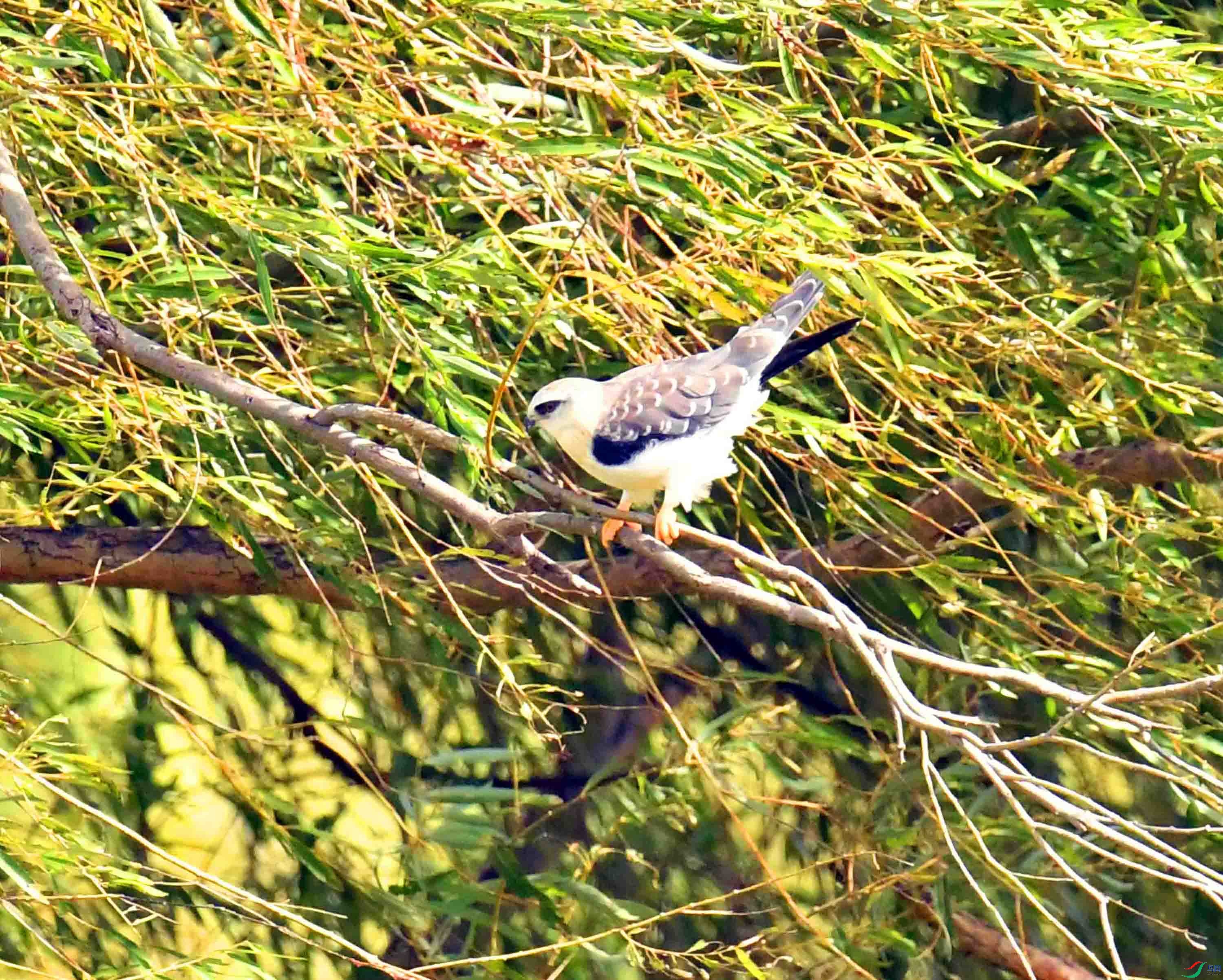 DSC_0917.JPG