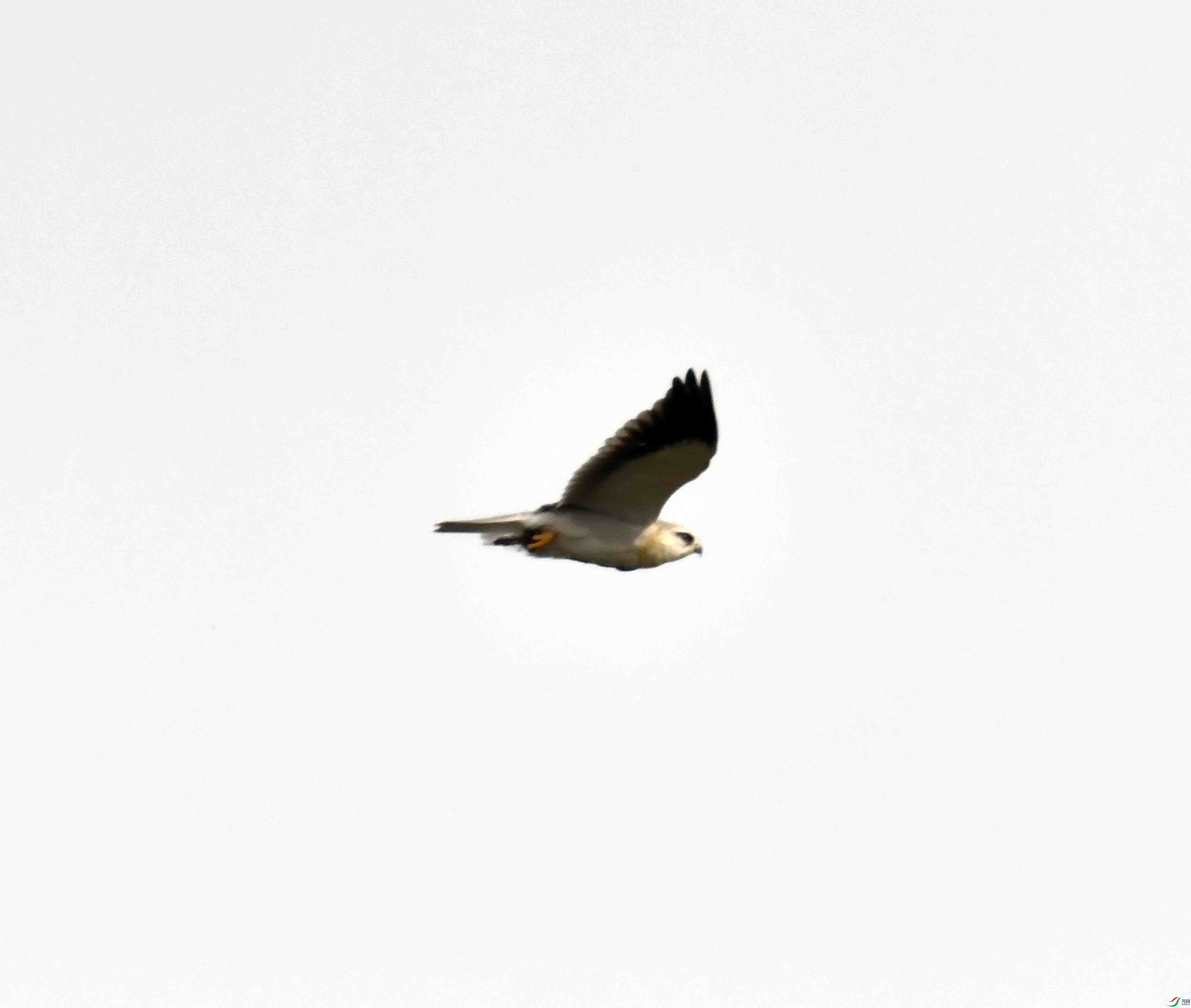 DSC_1022.JPG