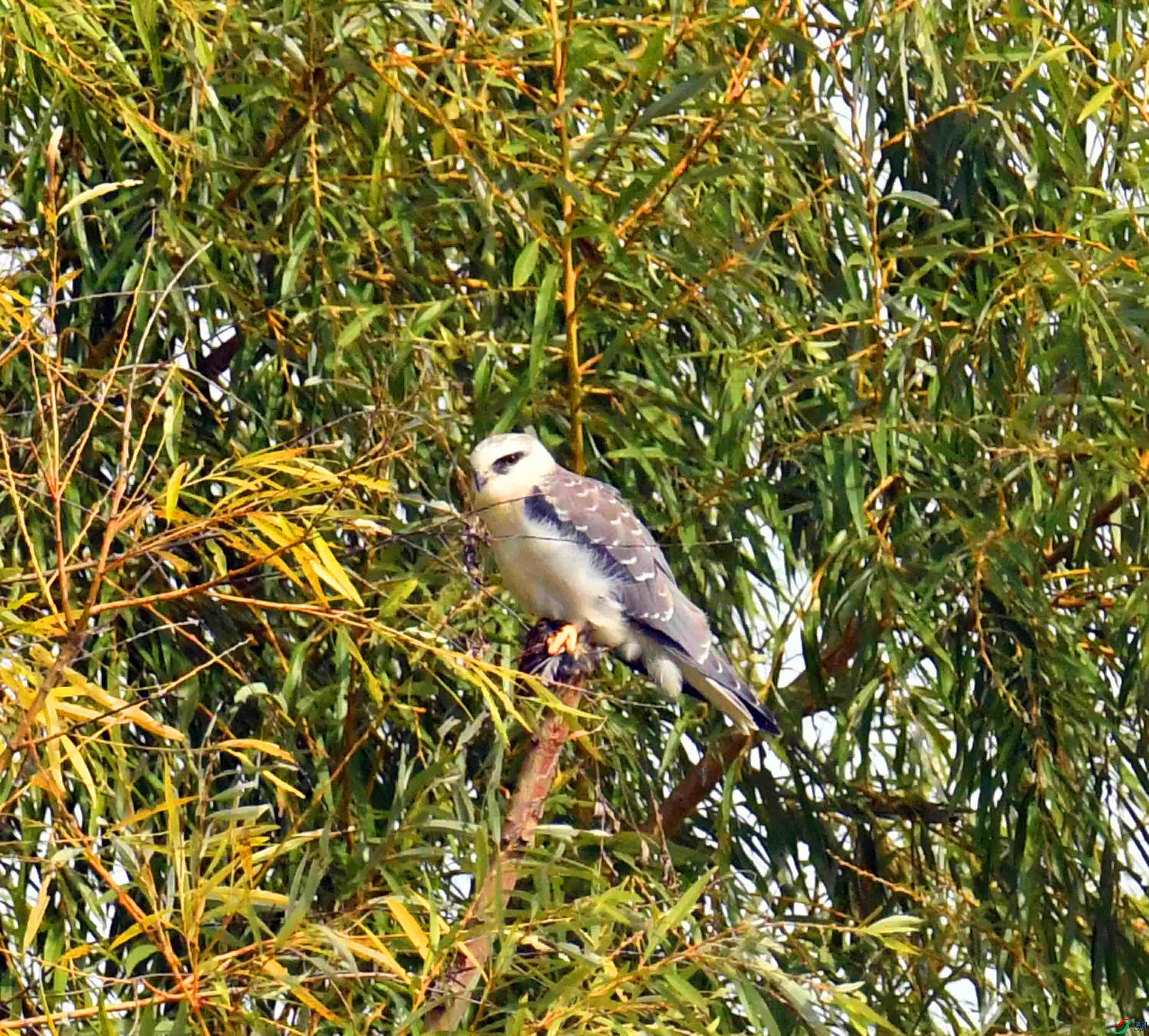 DSC_1025.JPG
