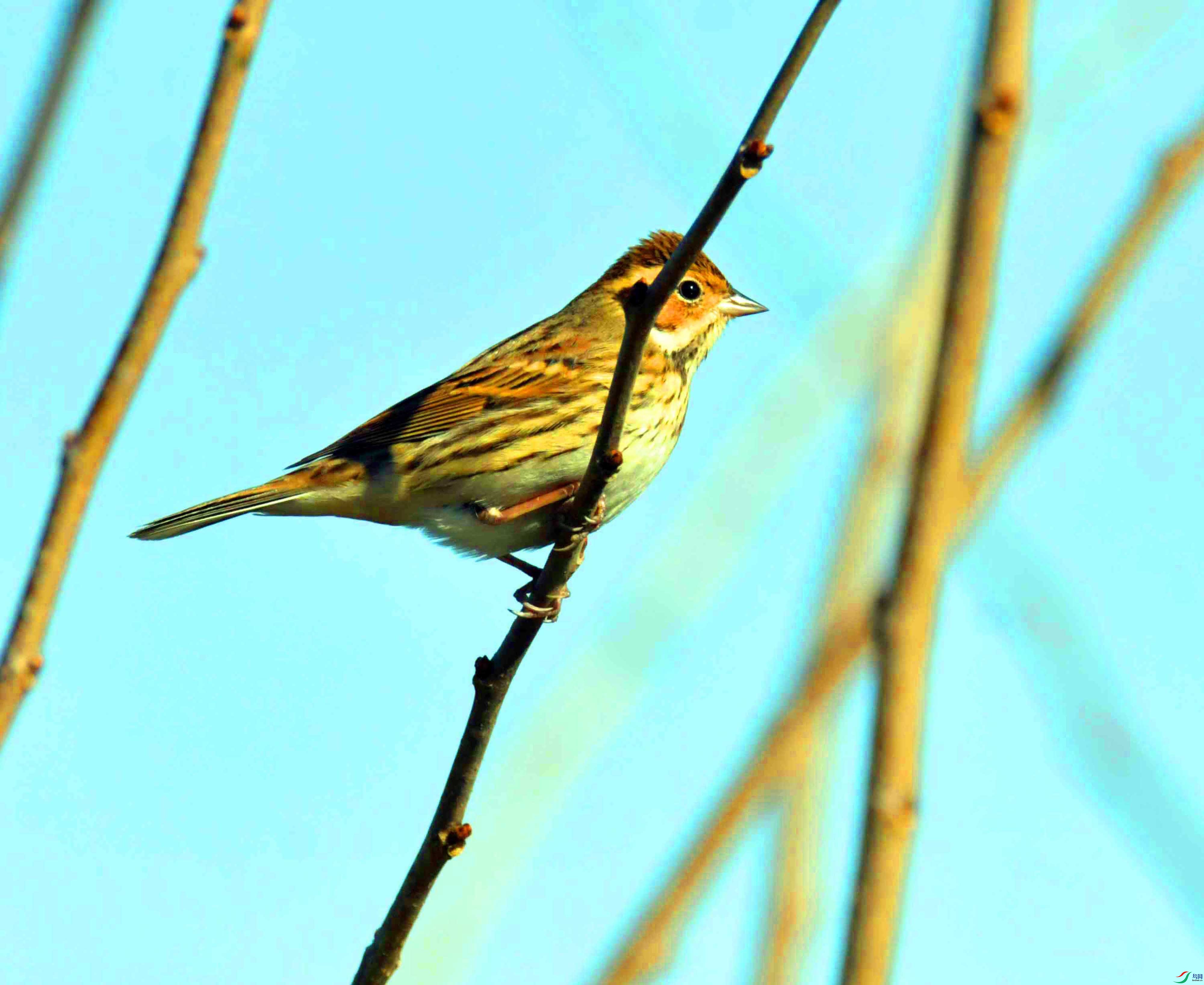 DSC_4097.JPG