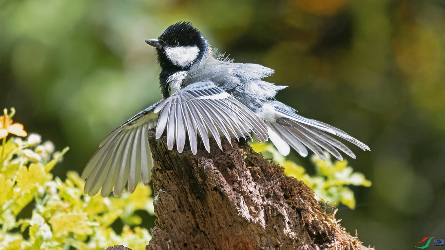 3U2A8380 ���� 2.jpg