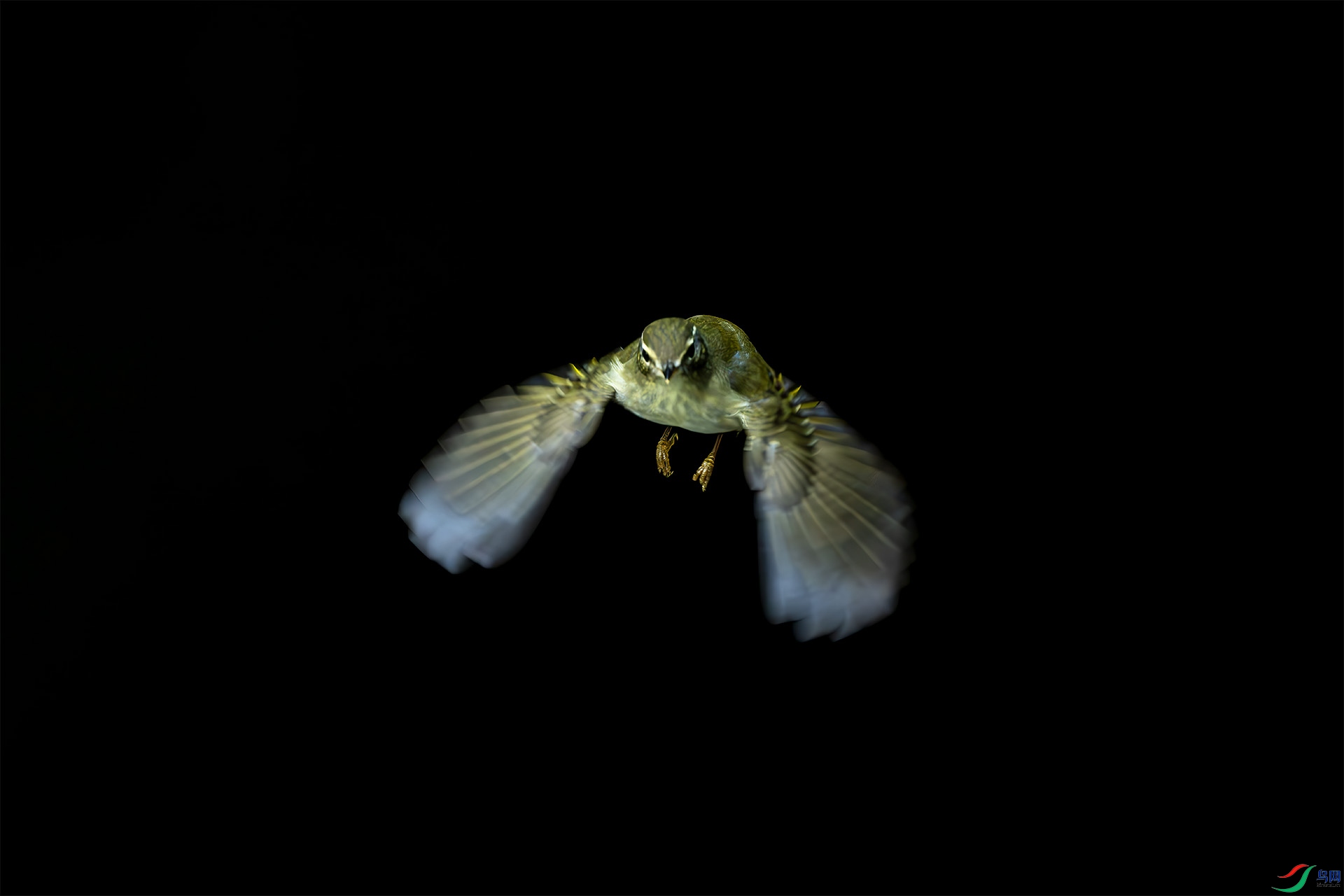 _DSC1429-.jpg