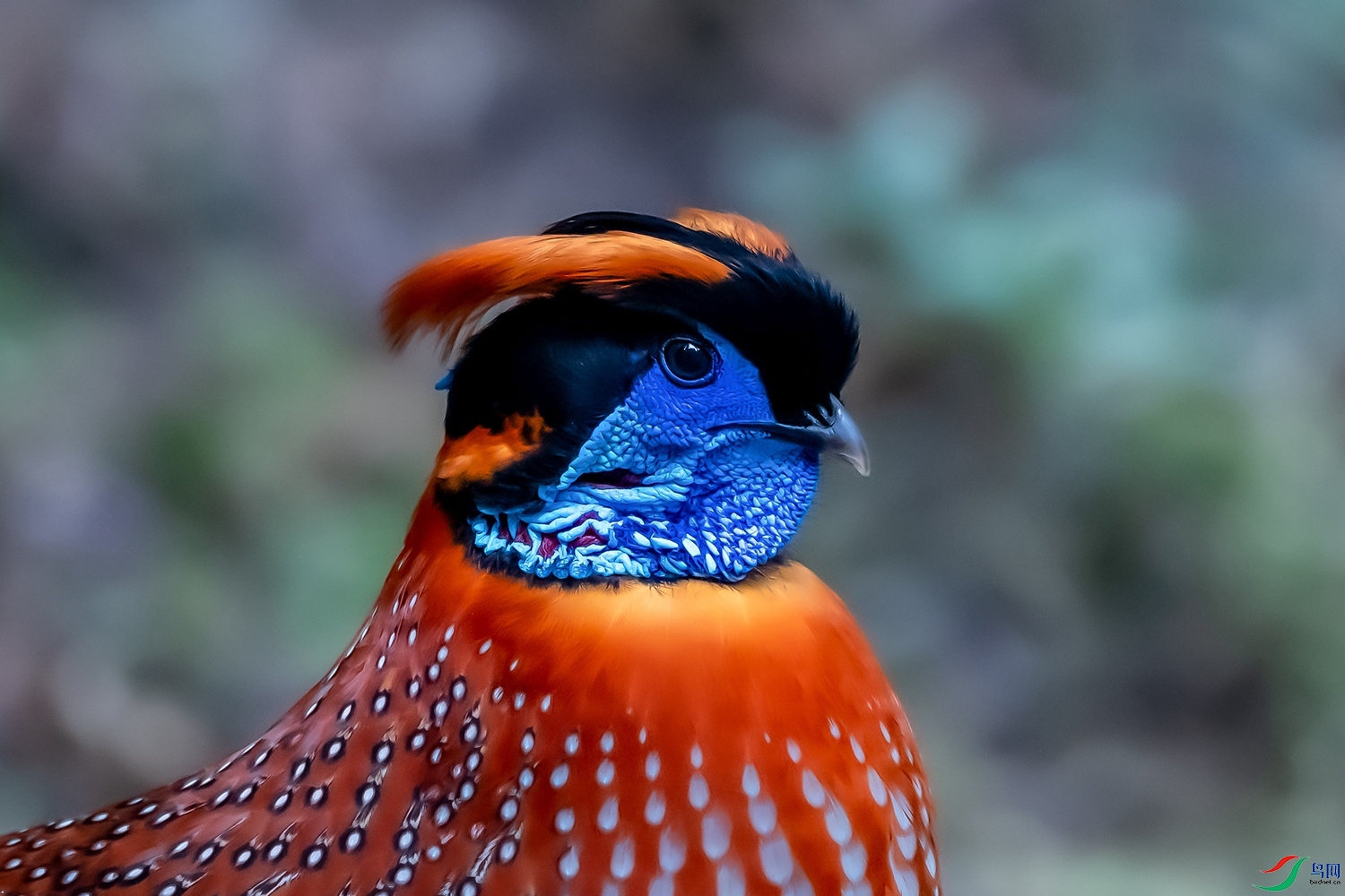 DSC_6390.jpg