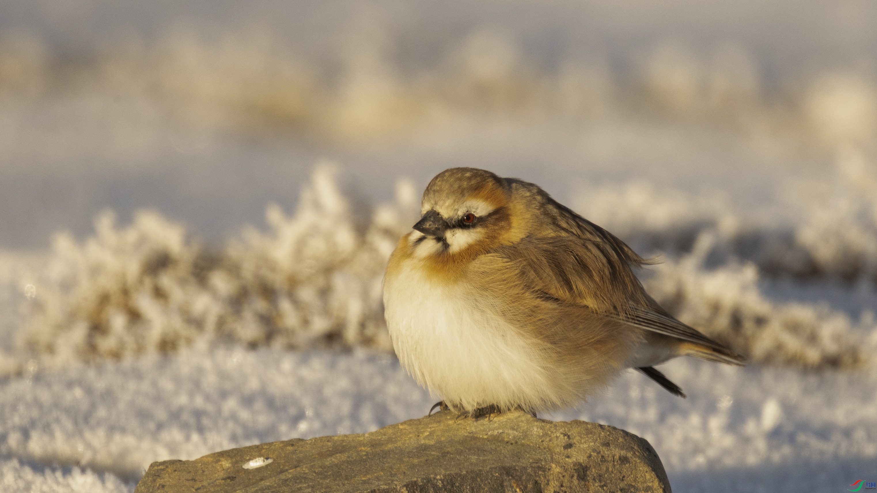 7X5A0613 ����444.jpg