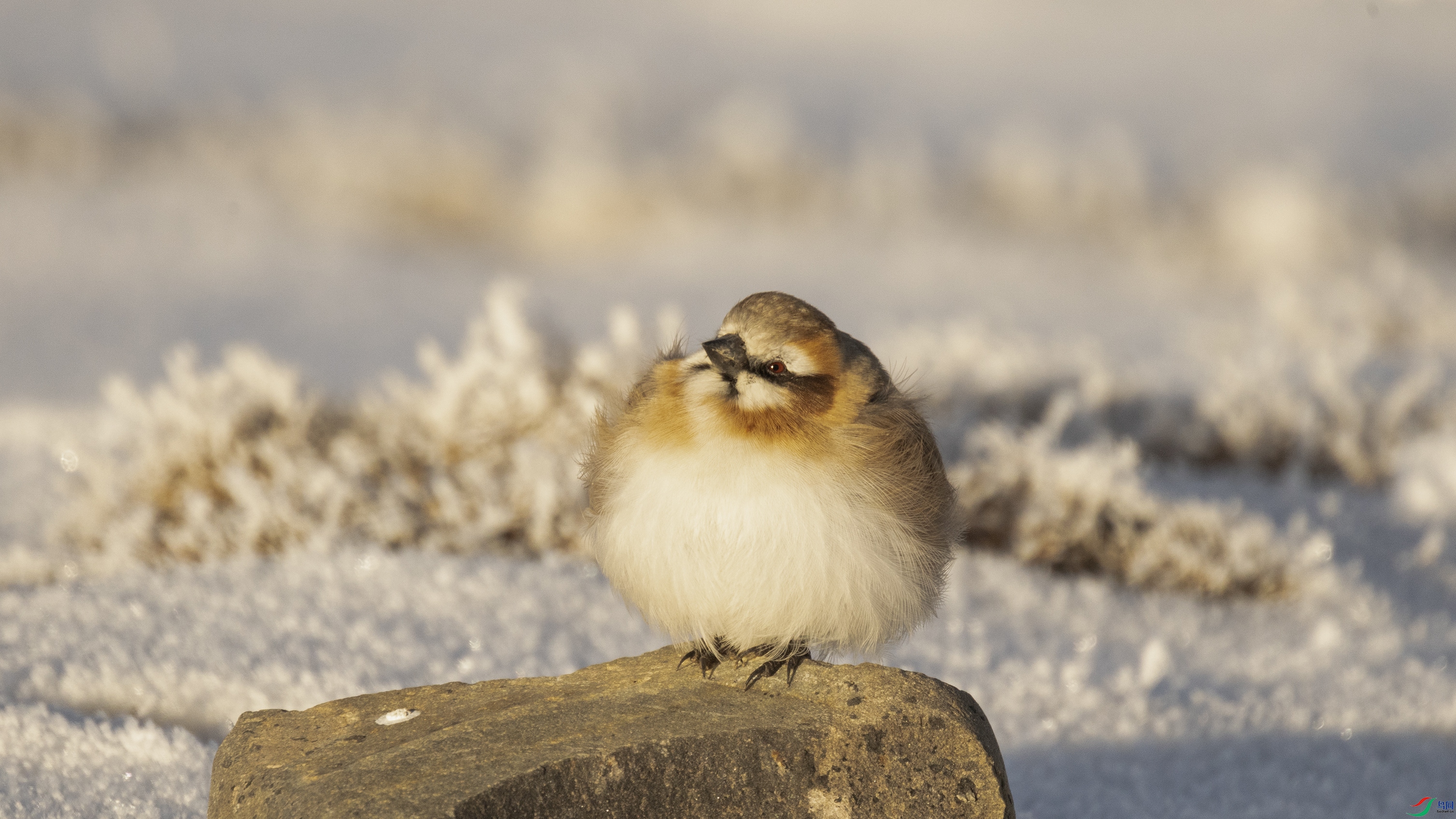 7X5A0662 ����444.jpg