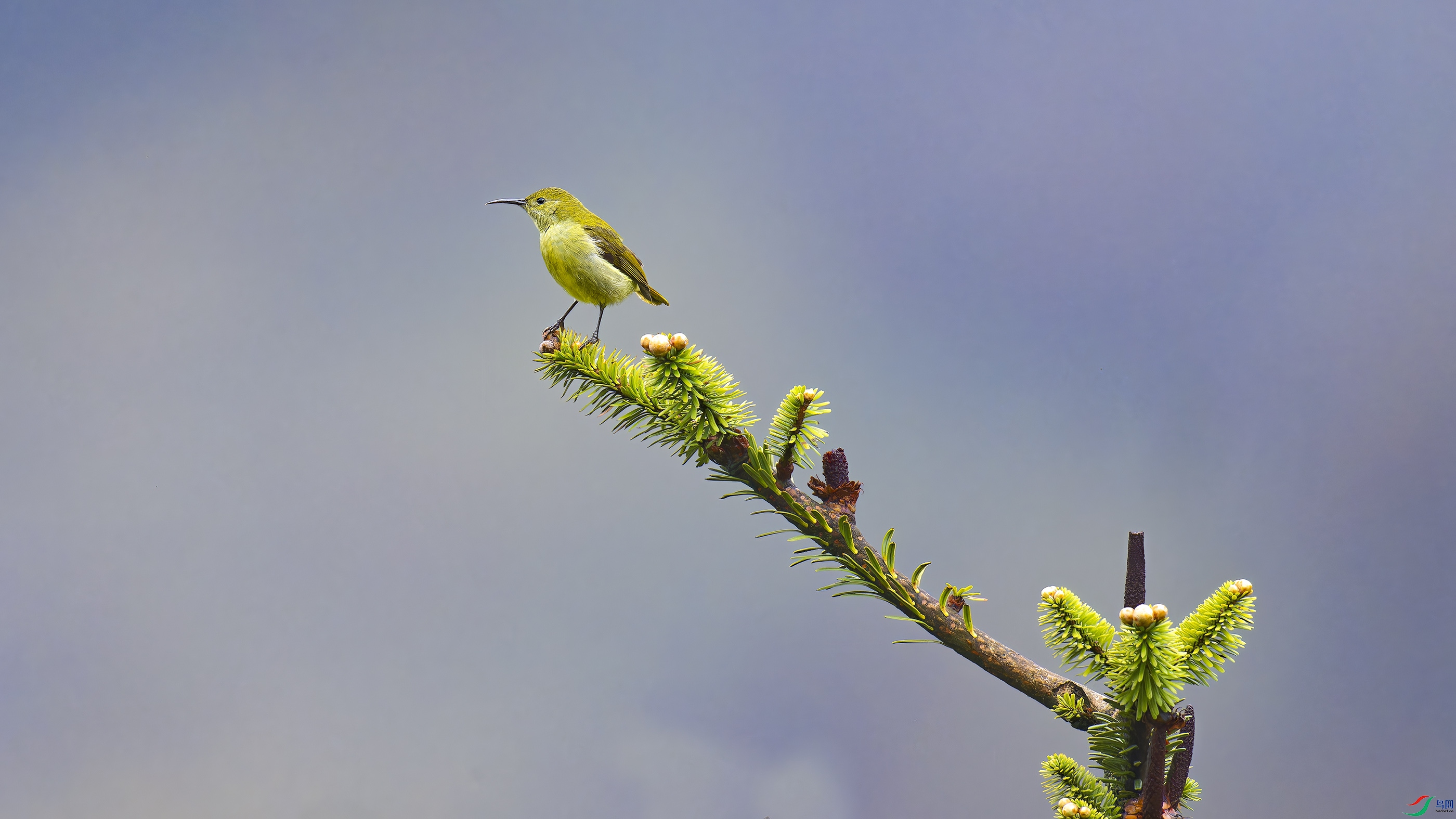 DSC_7541_DxO.jpg