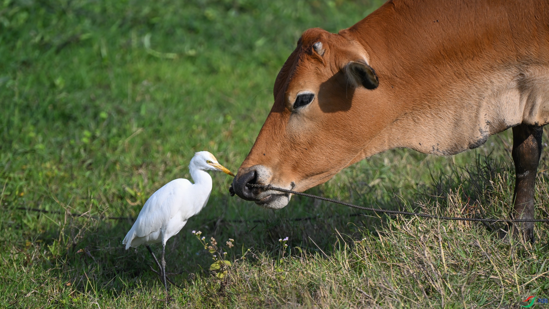 DSC_5044sen2025-1-23-13-�༭.jpg