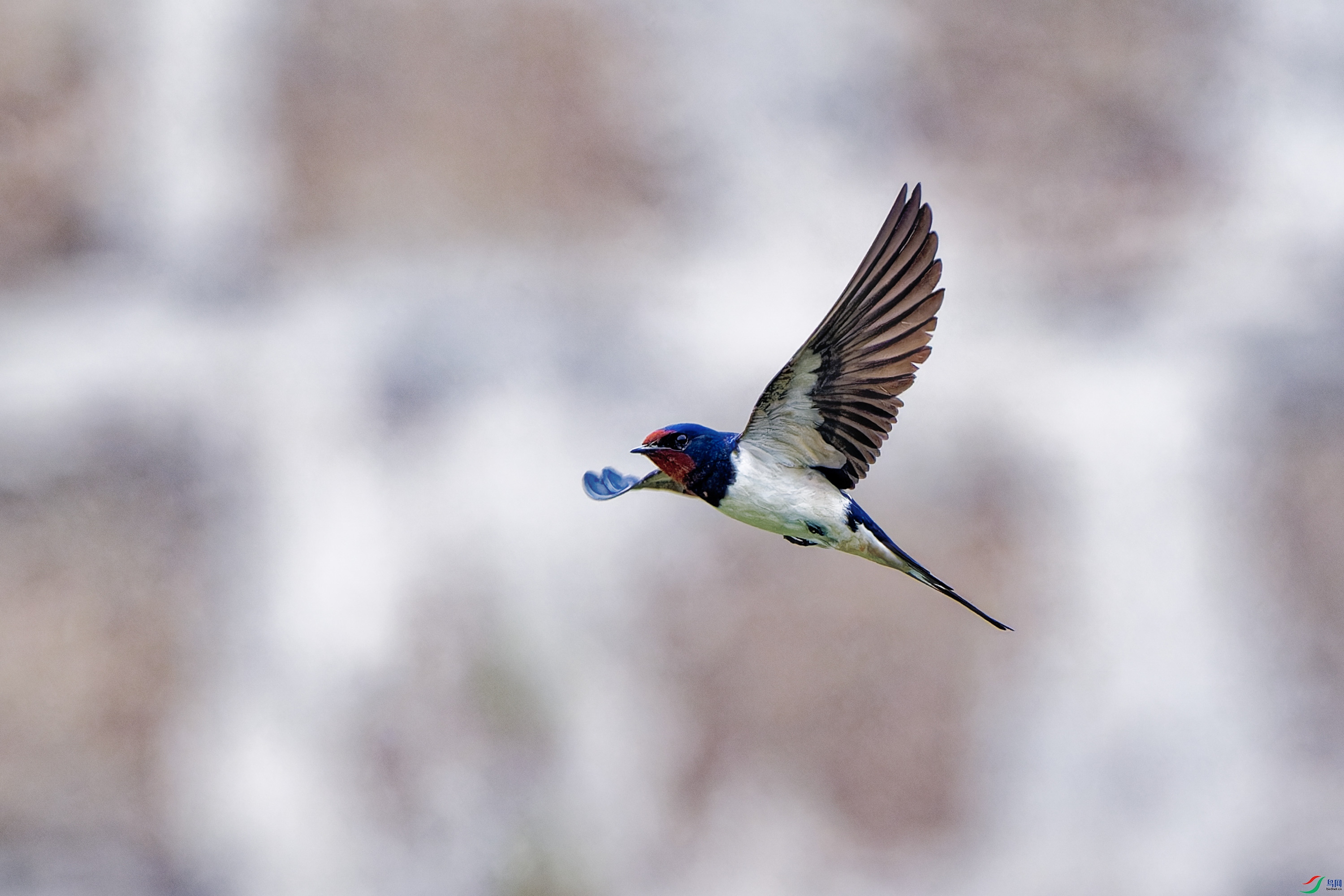DSC_1164.jpg
