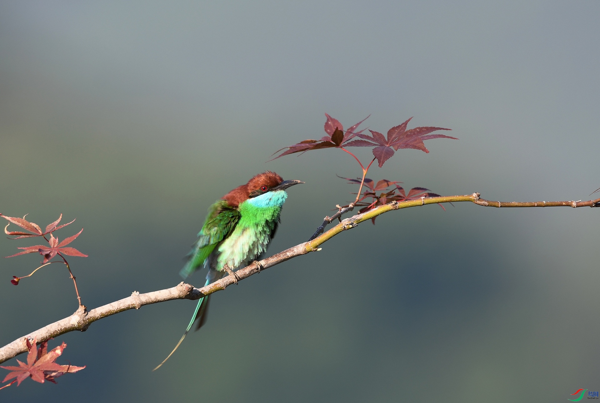 DSC_4842.jpg