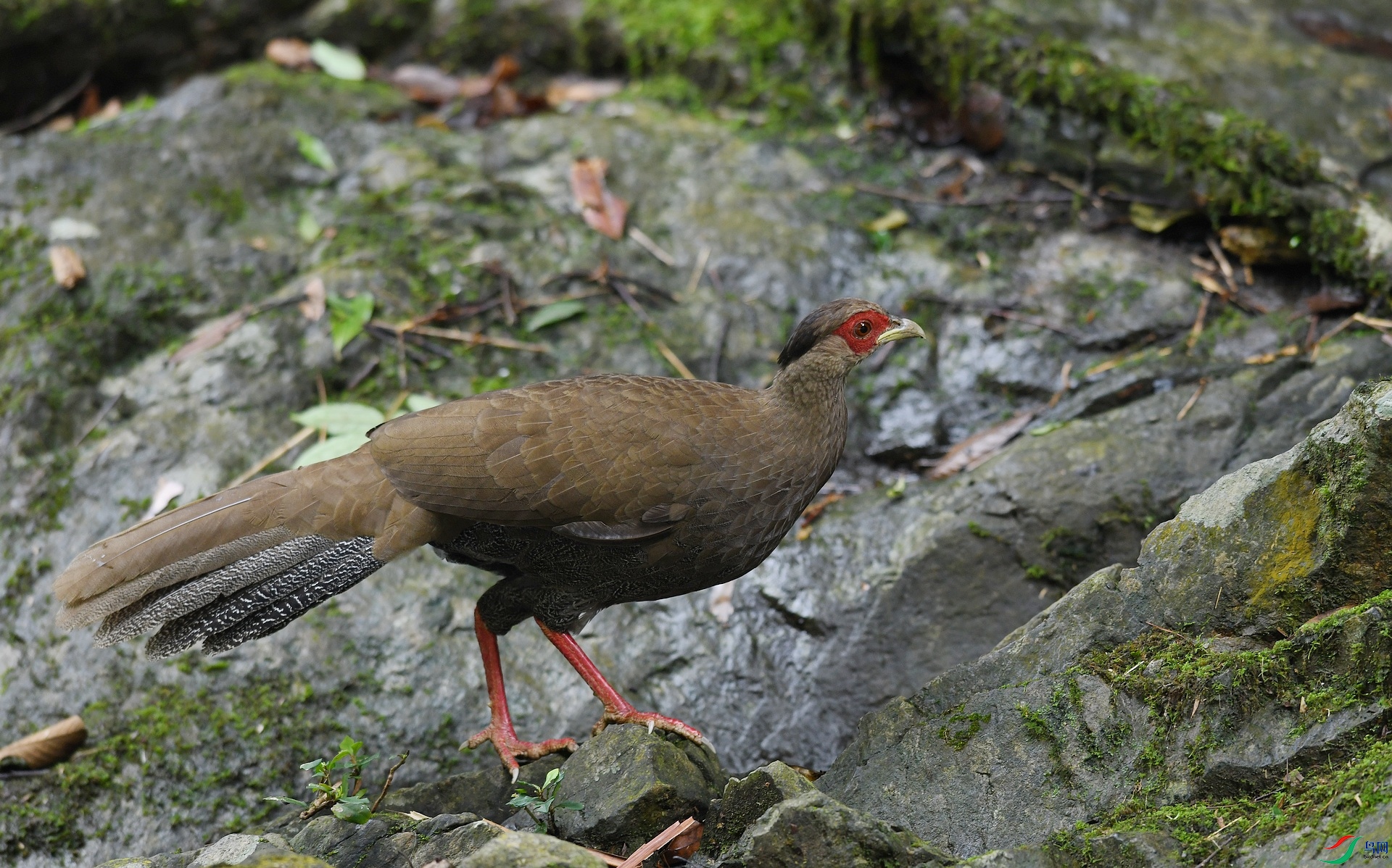 DSC_5254.jpg
