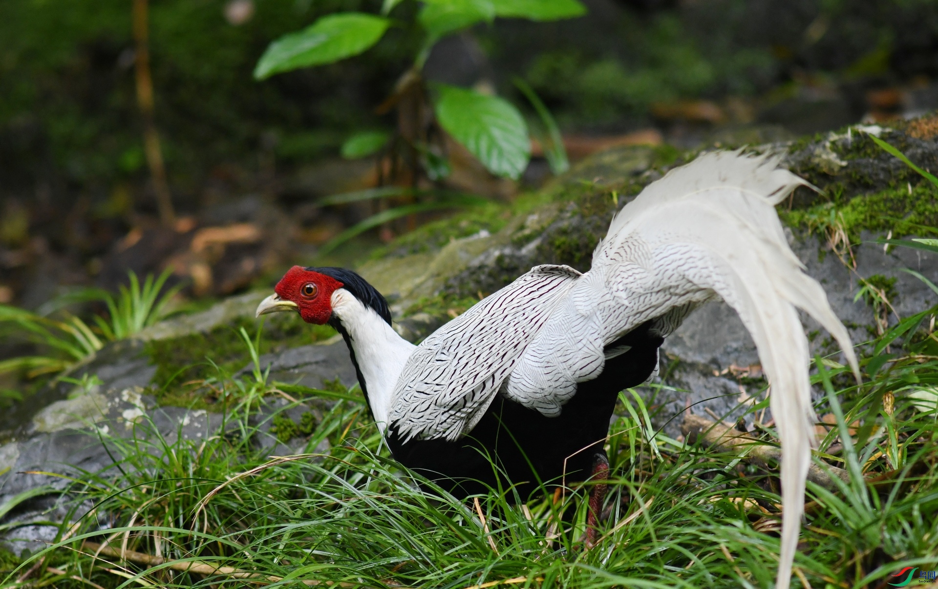 DSC_6734.jpg