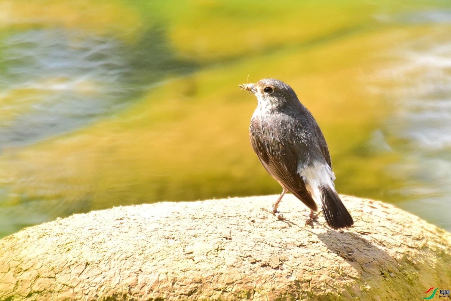 DSC_7508.JPG