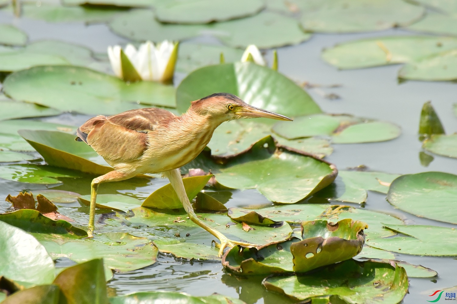 DSC_9036.JPG