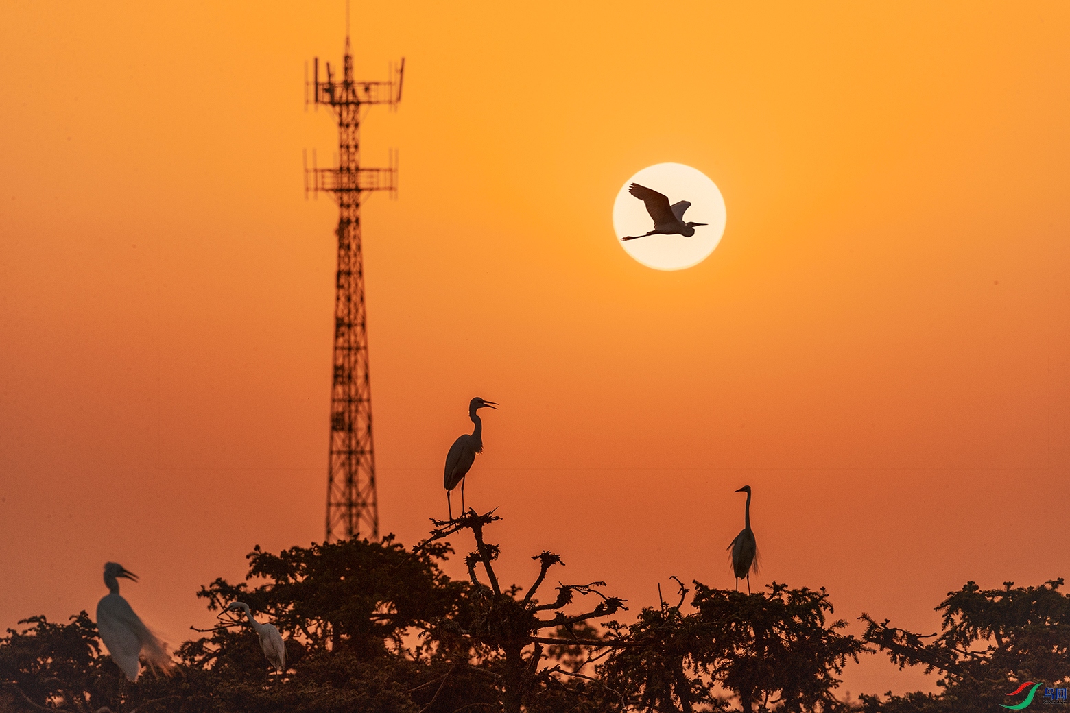 ����----Ϧ���ظ�