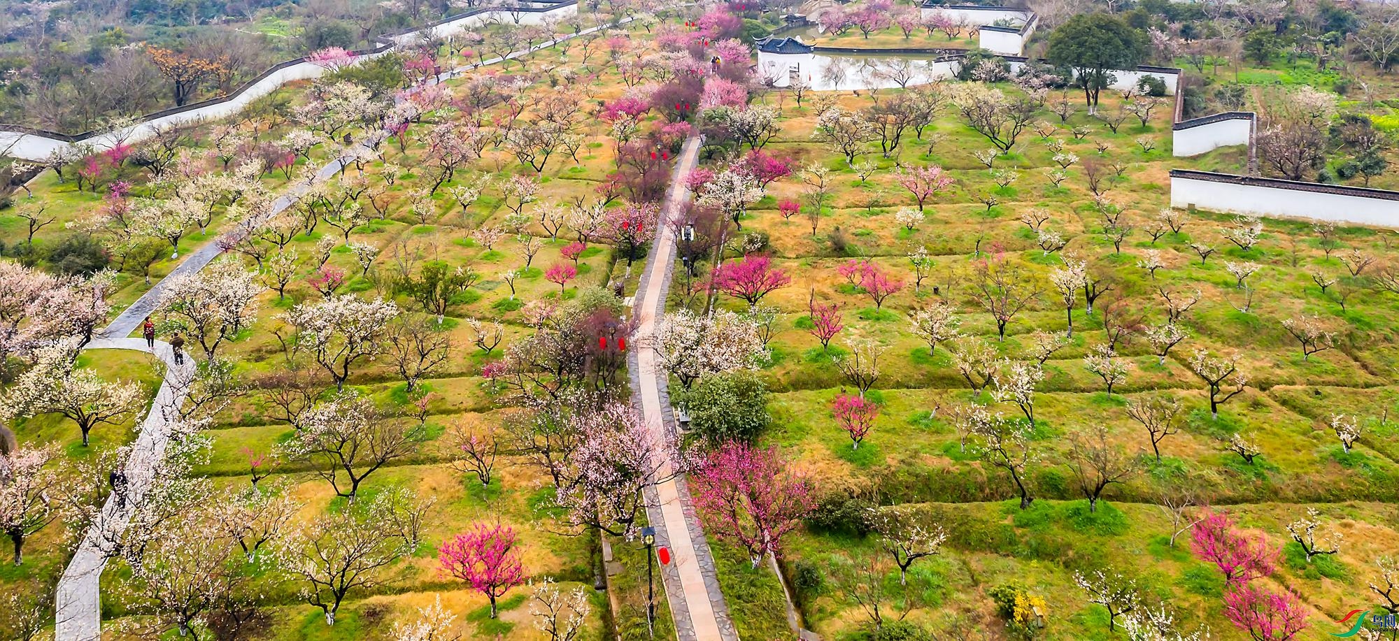 DJI_0093-1_����.jpg