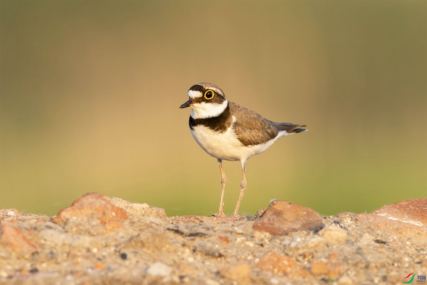 JHGS7583 ���� 3.jpg