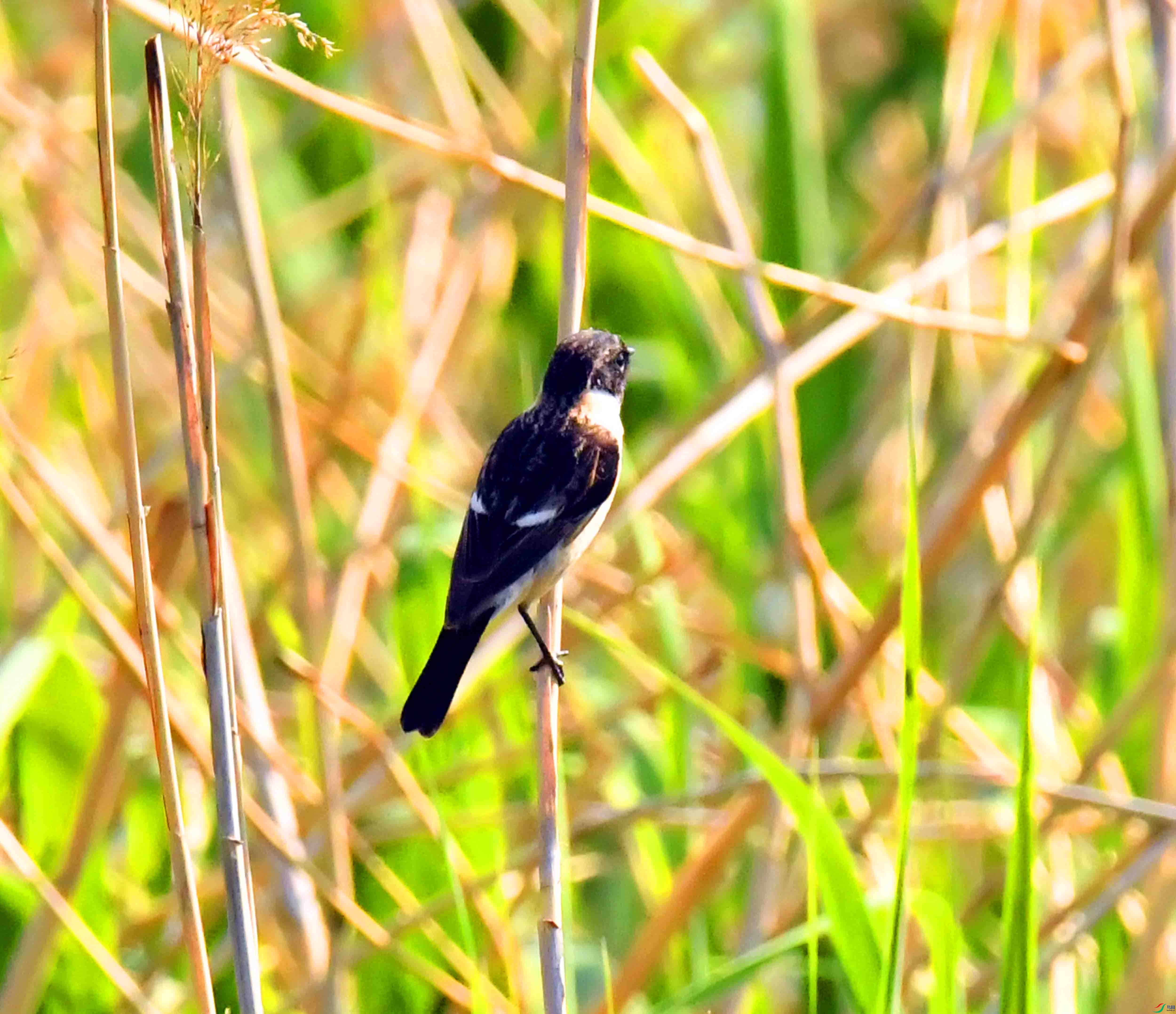 DSC_5083.JPG