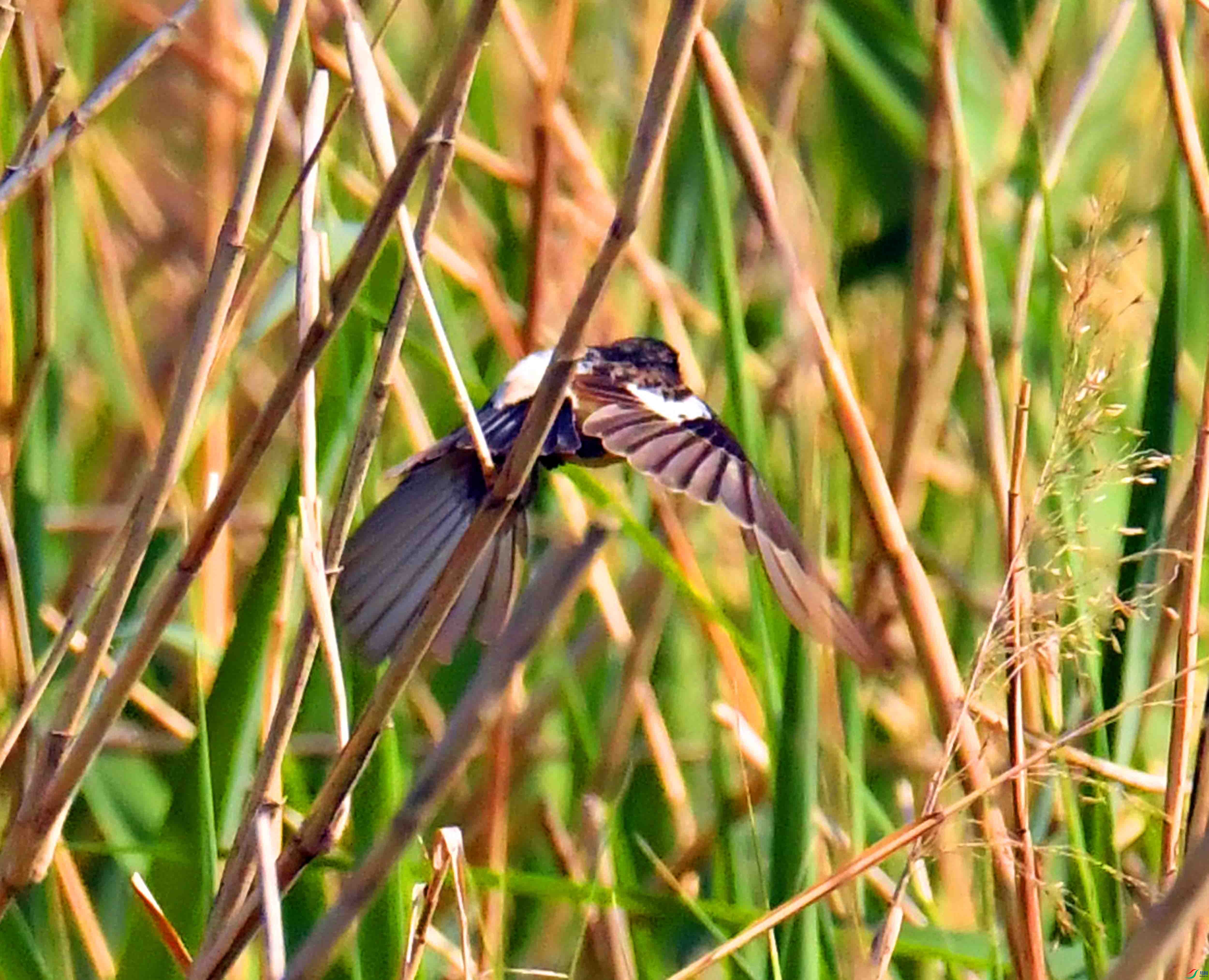 DSC_5142.JPG