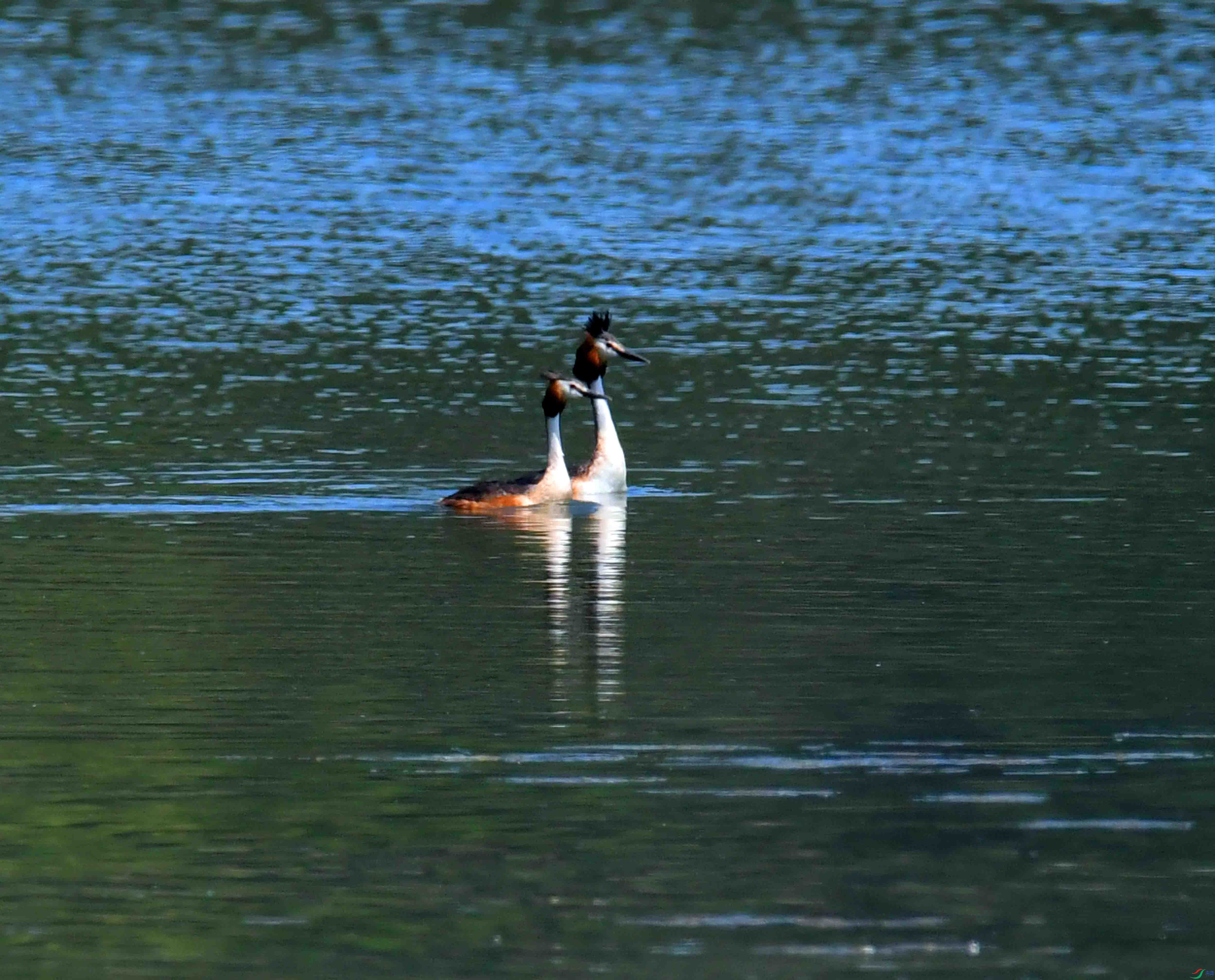 DSC_6483.JPG