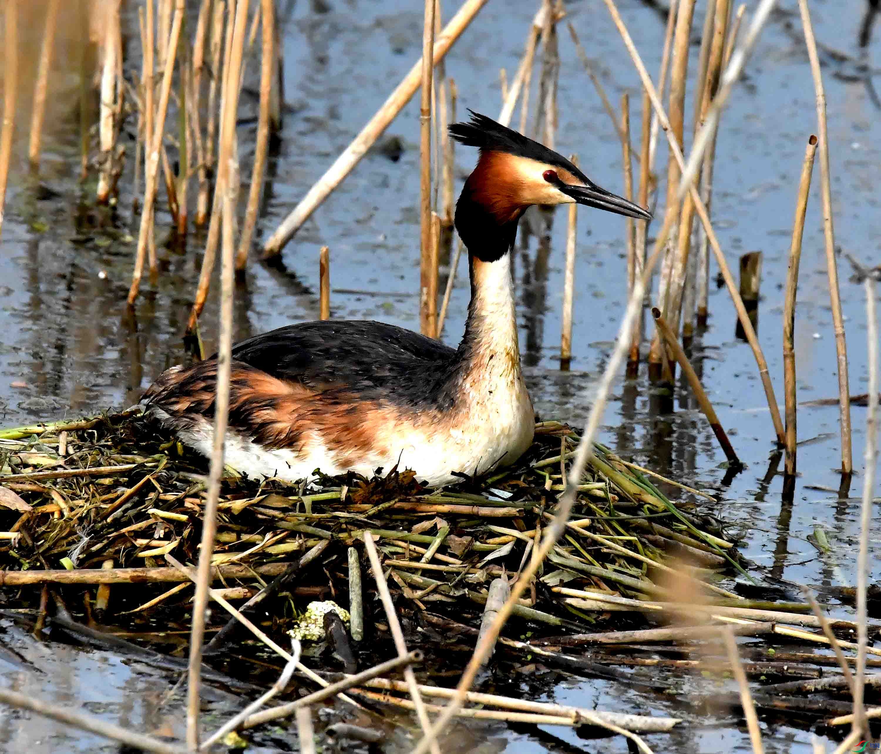 DSC_9393.JPG