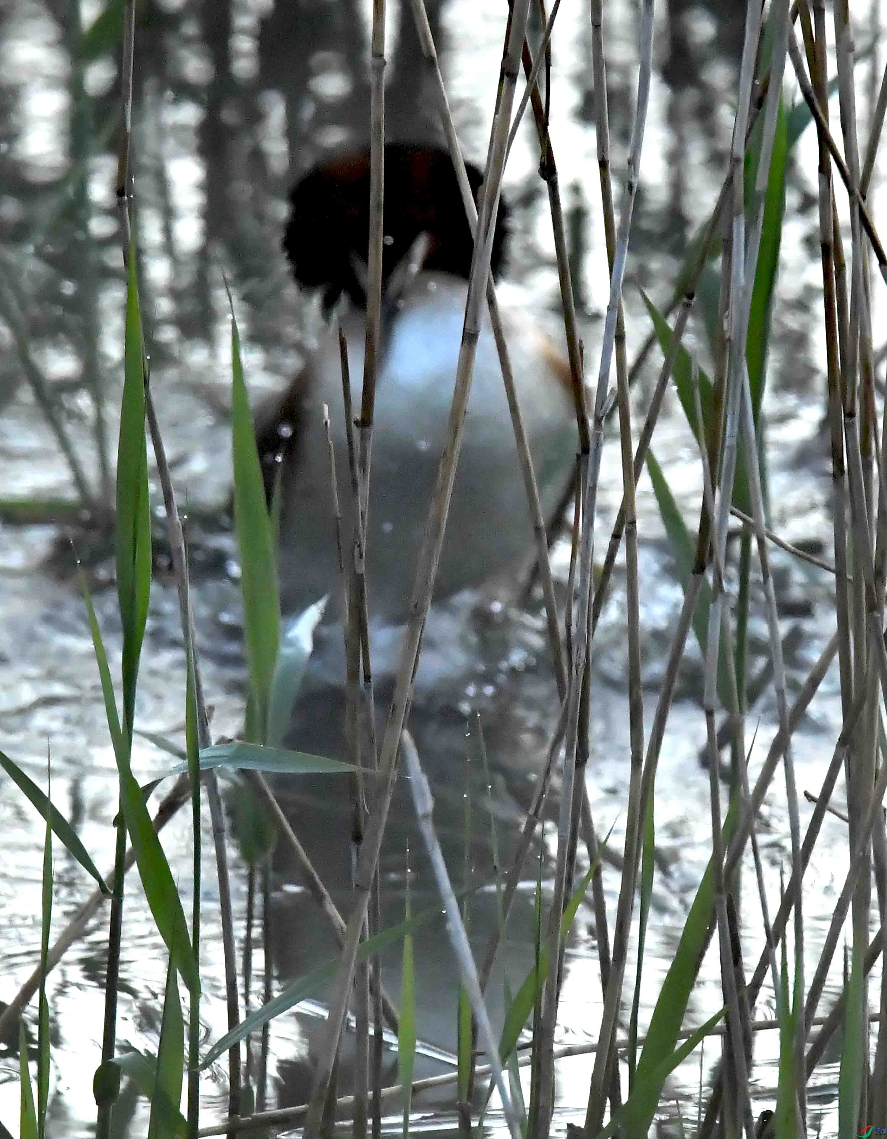 DSC_9961.JPG