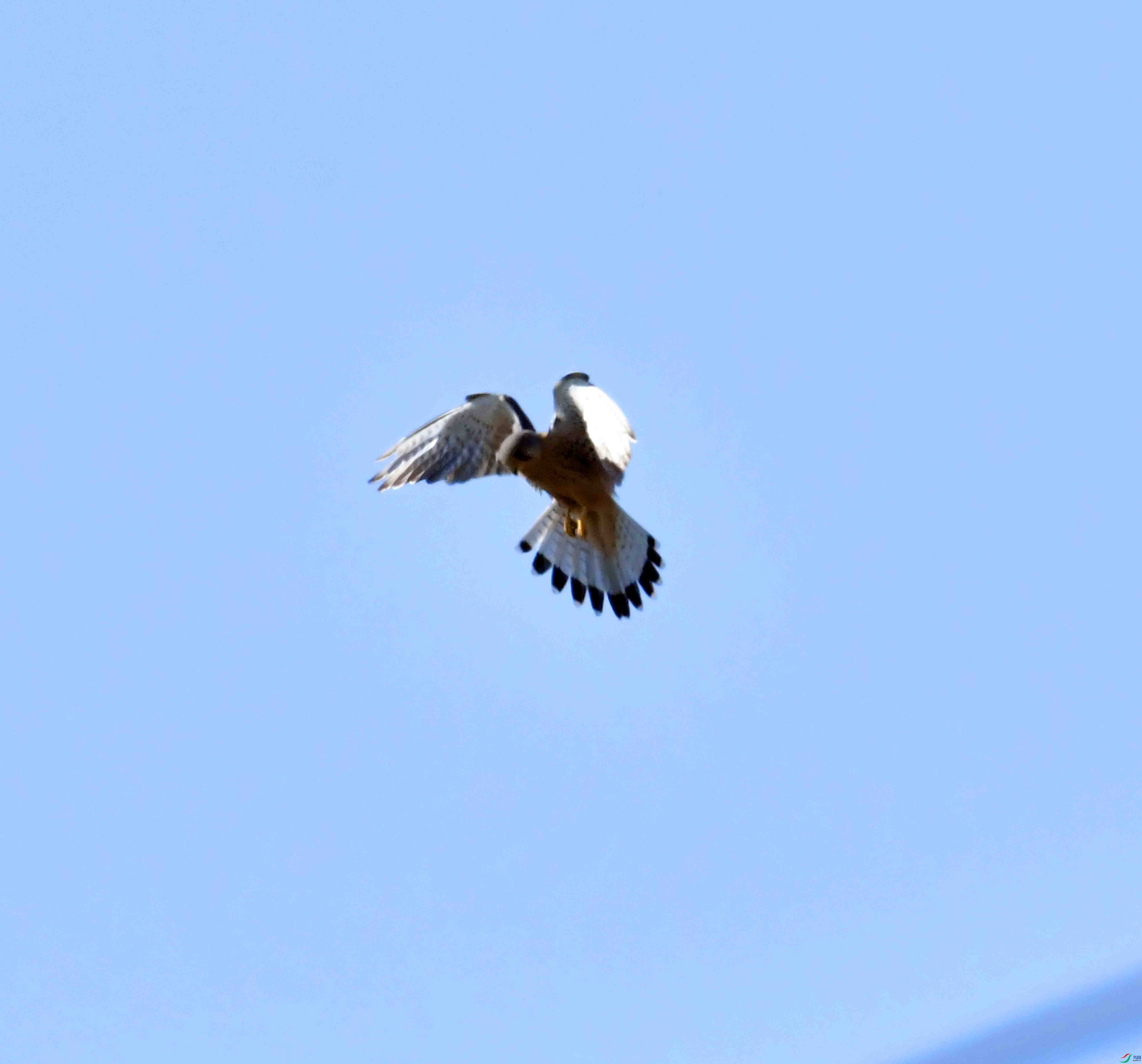 DSC_0693.JPG