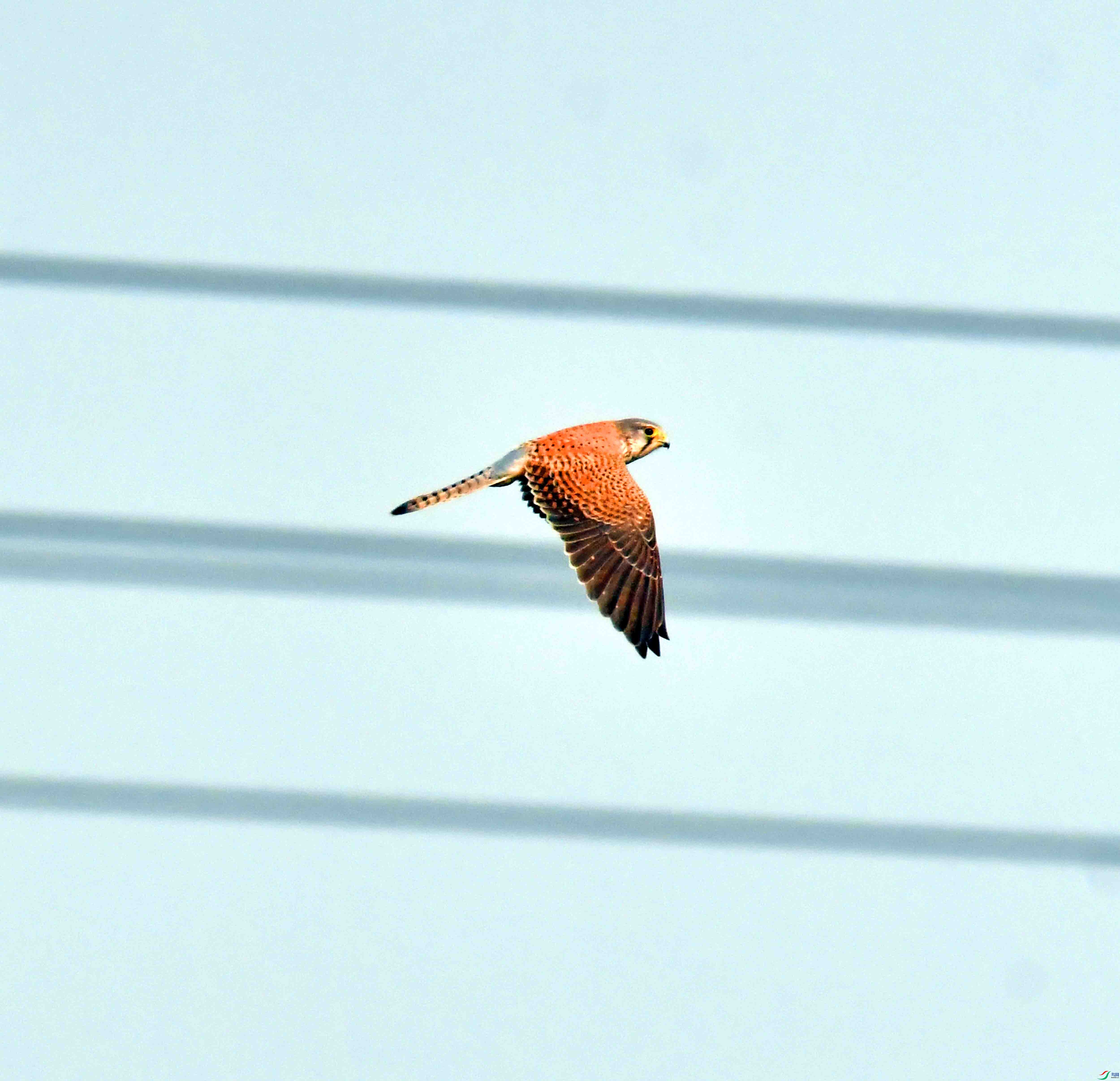 DSC_3633.JPG