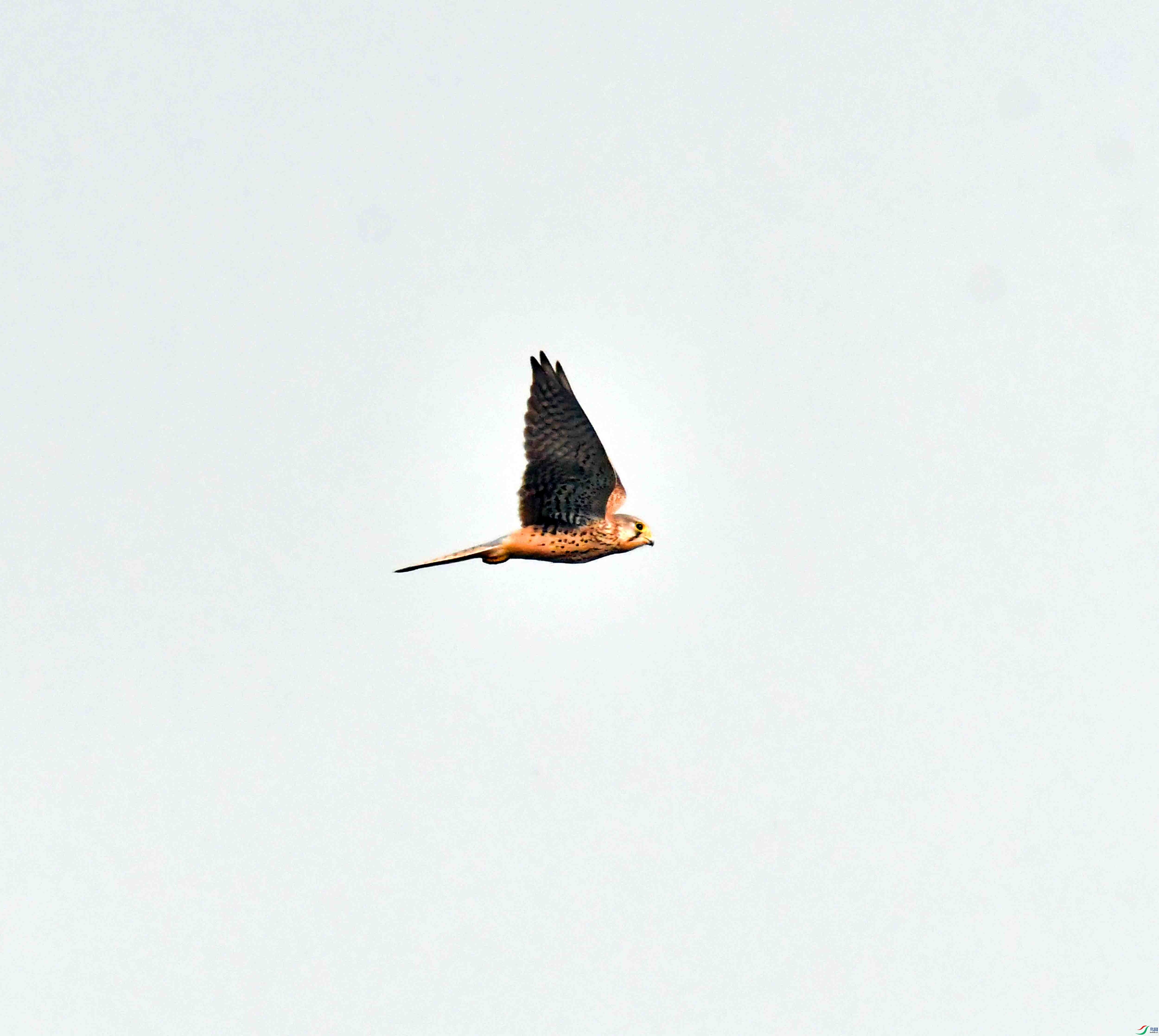 DSC_3635.JPG