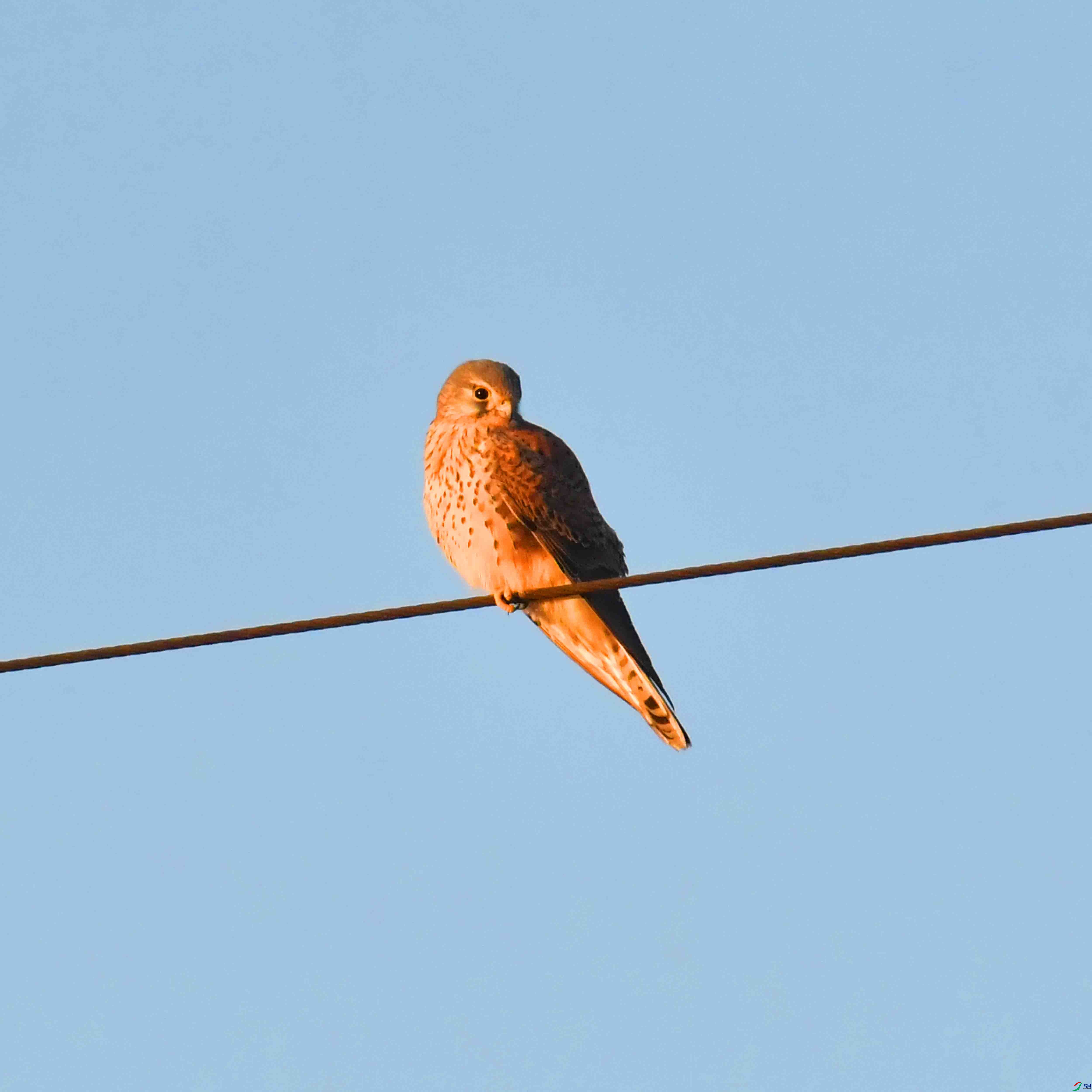 DSC_4098.JPG