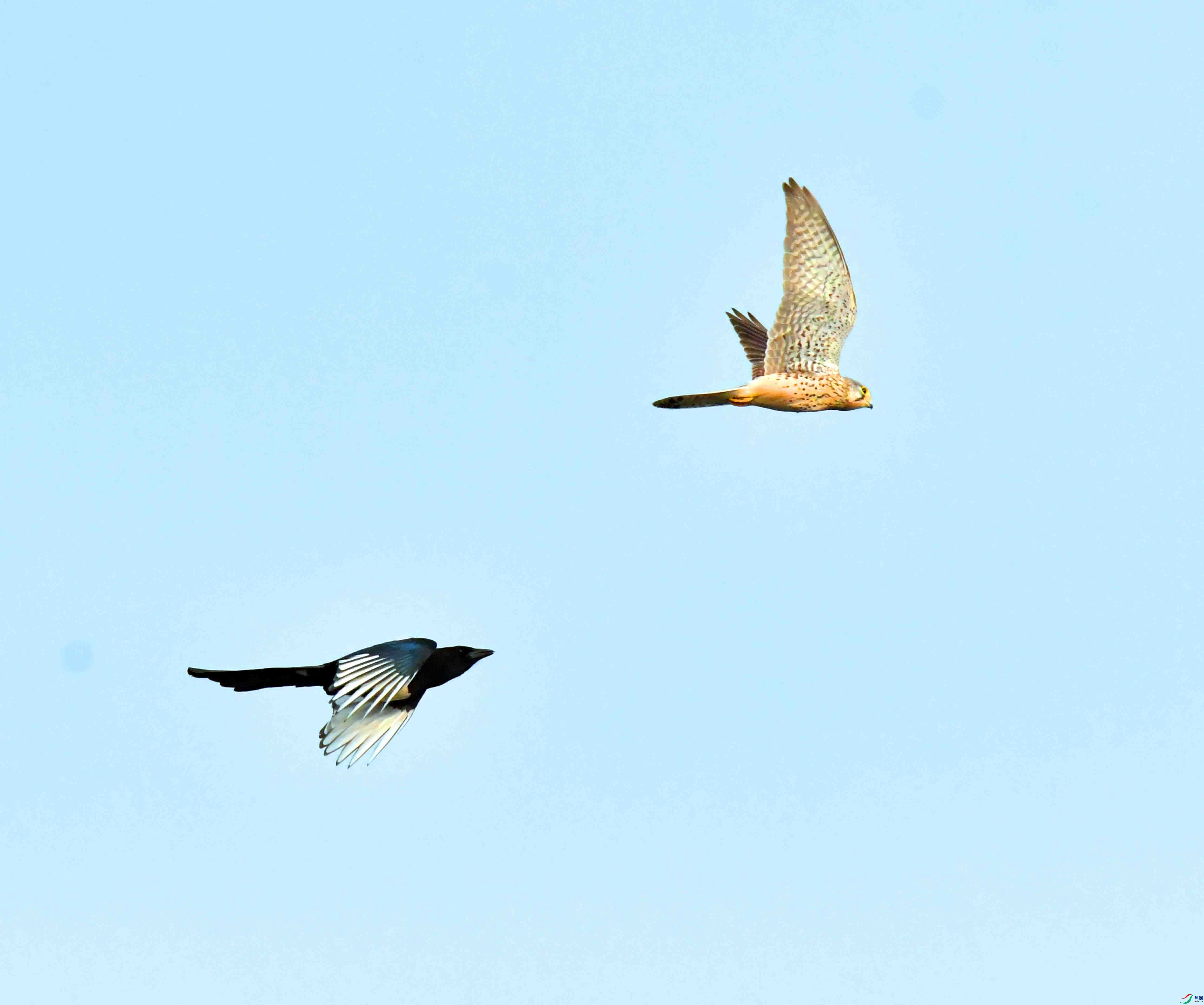 DSC_3638.JPG