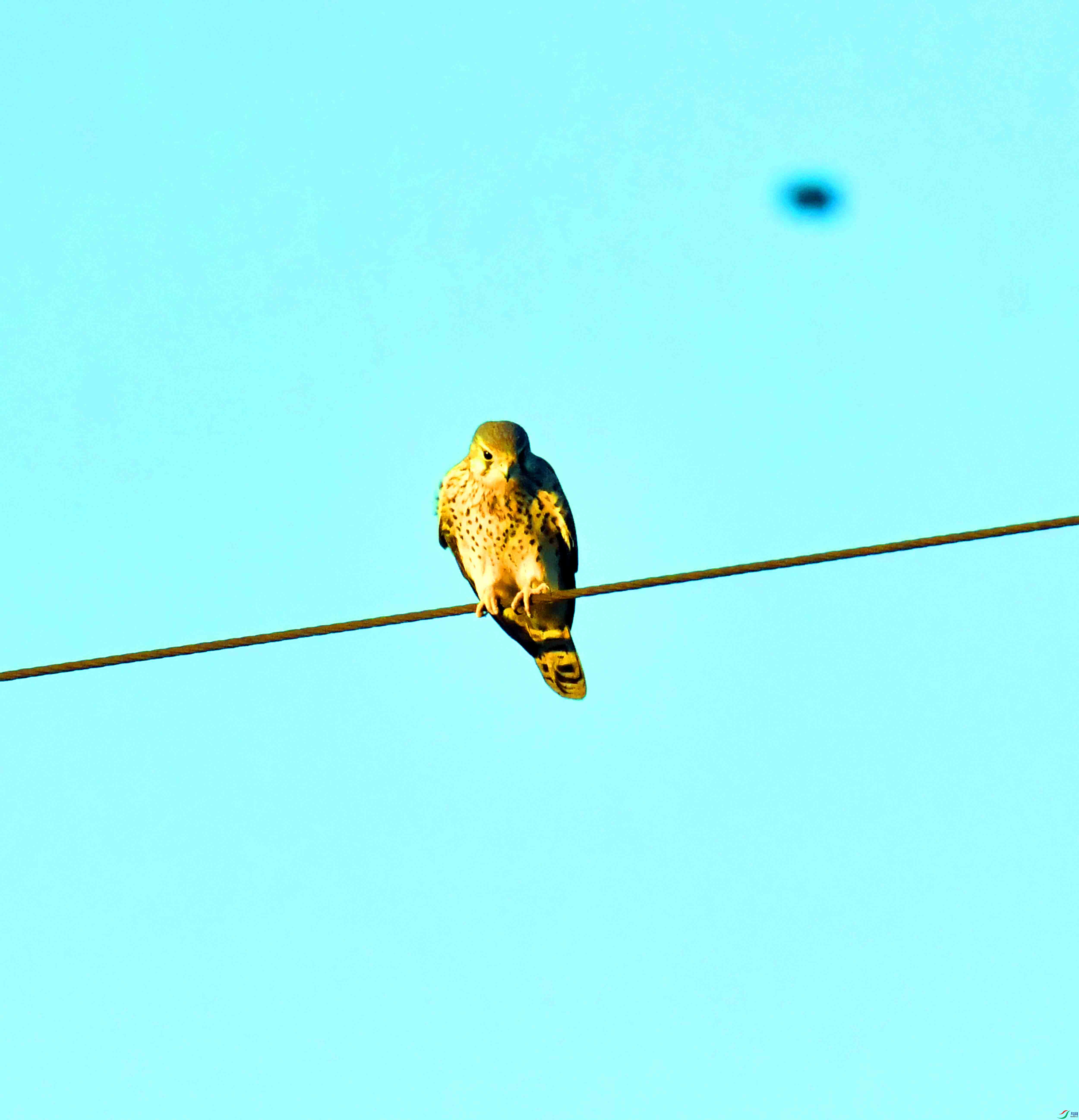 DSC_4106.JPG