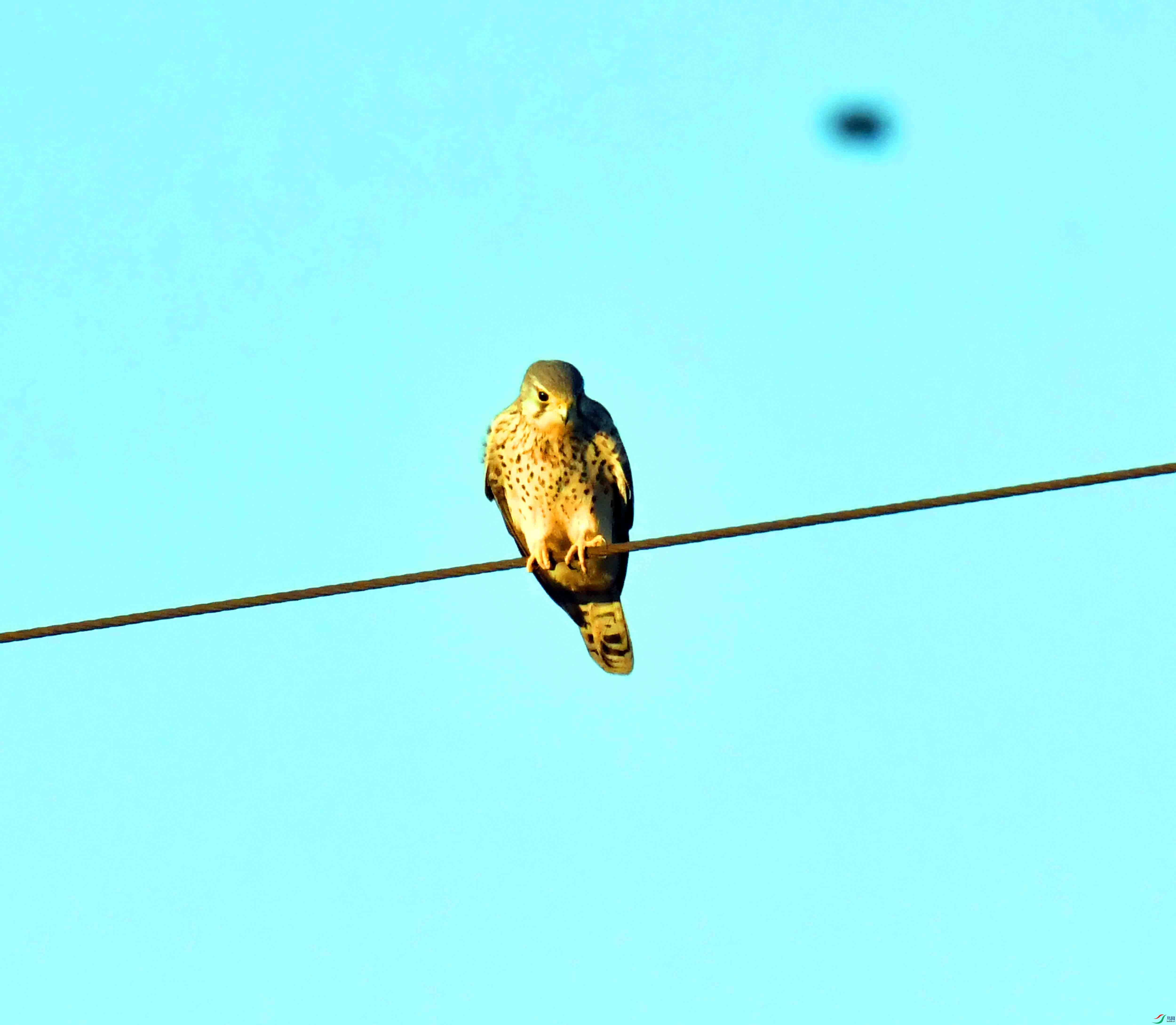 DSC_4107.JPG