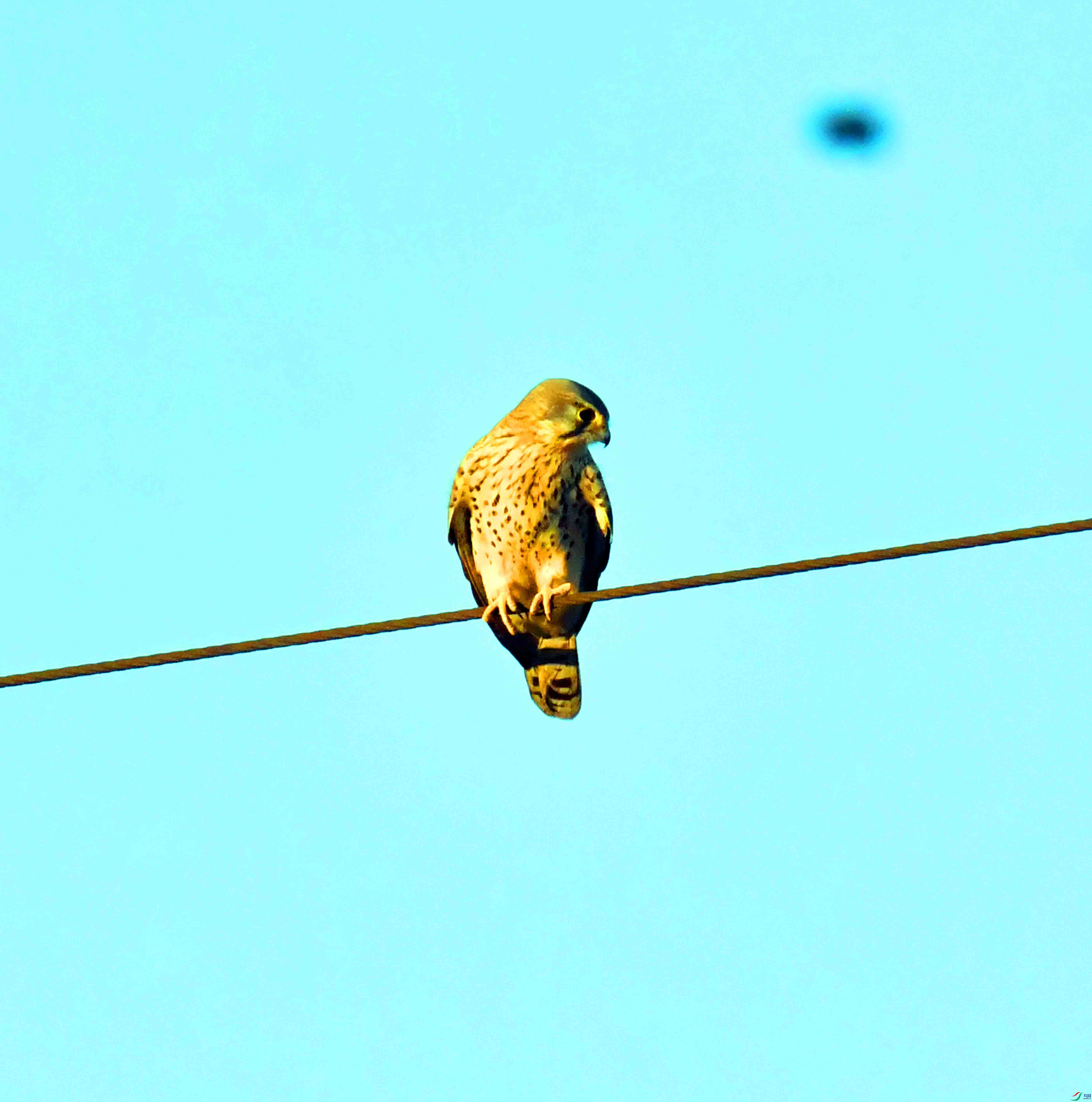 DSC_4109.JPG