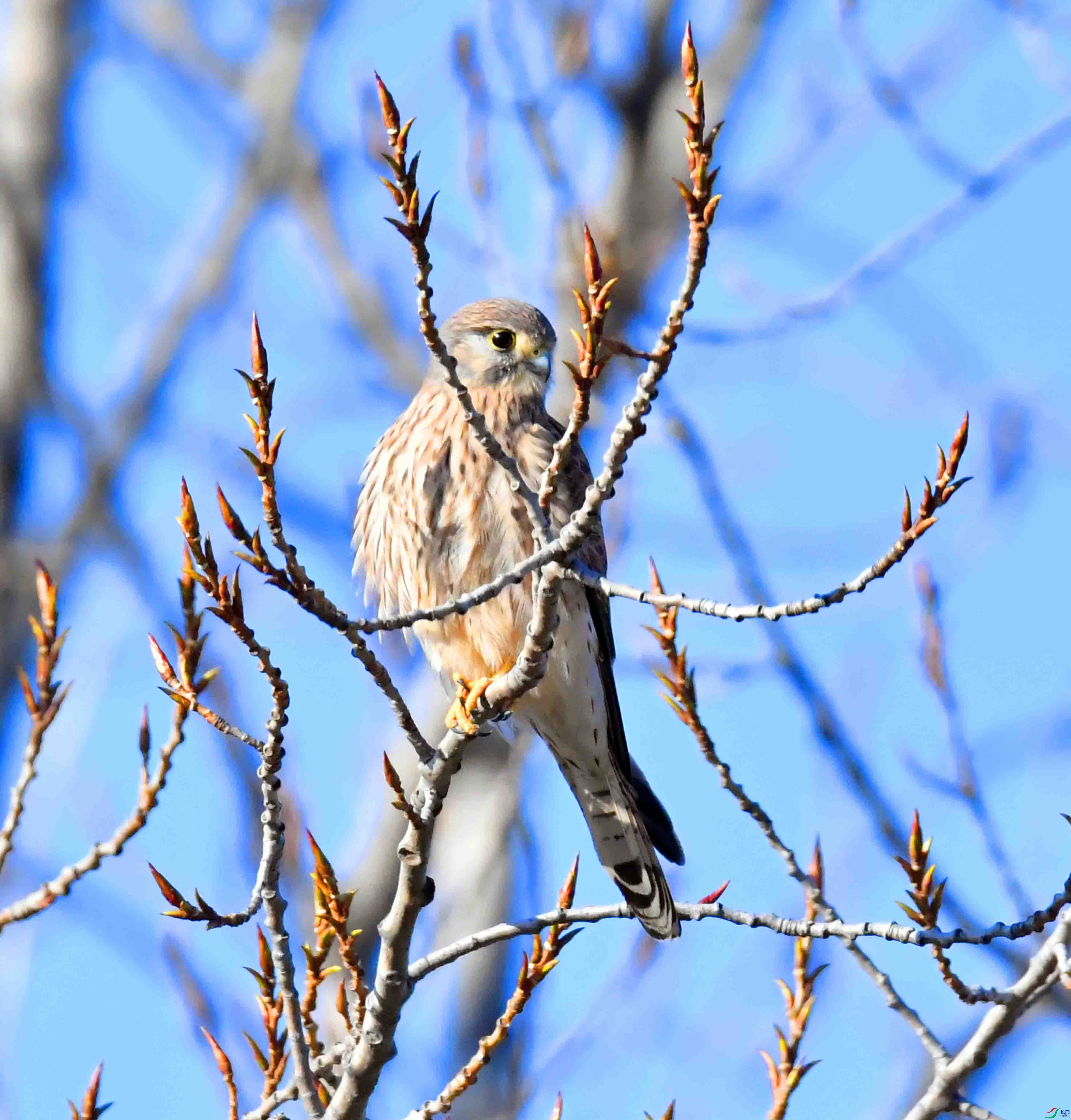 DSC_7345.JPG