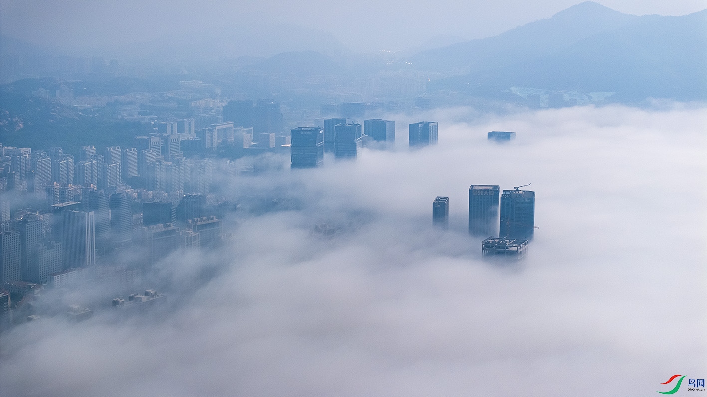 DJI_20250521083756_0017_D ����.jpg