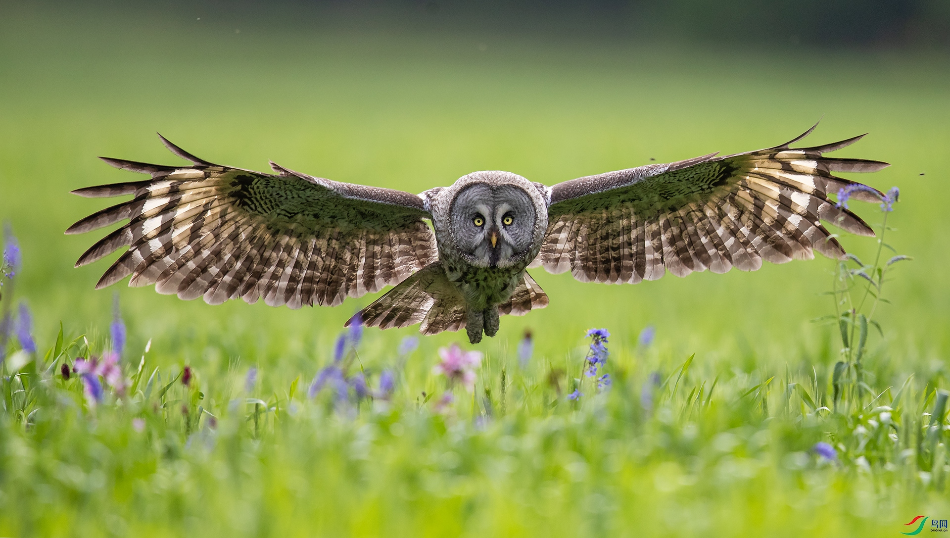 ����ʱ��