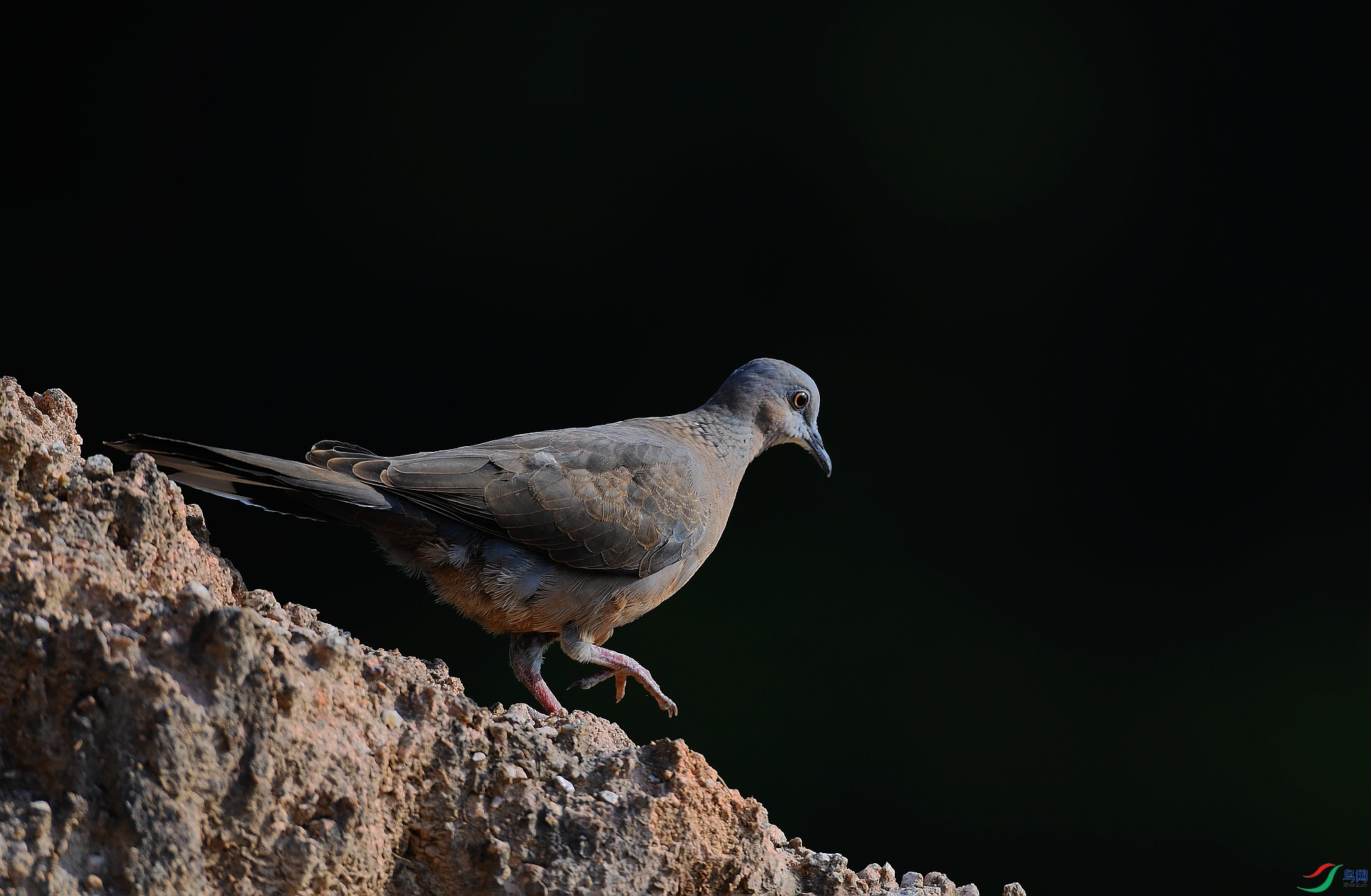 DSC_7758.jpg