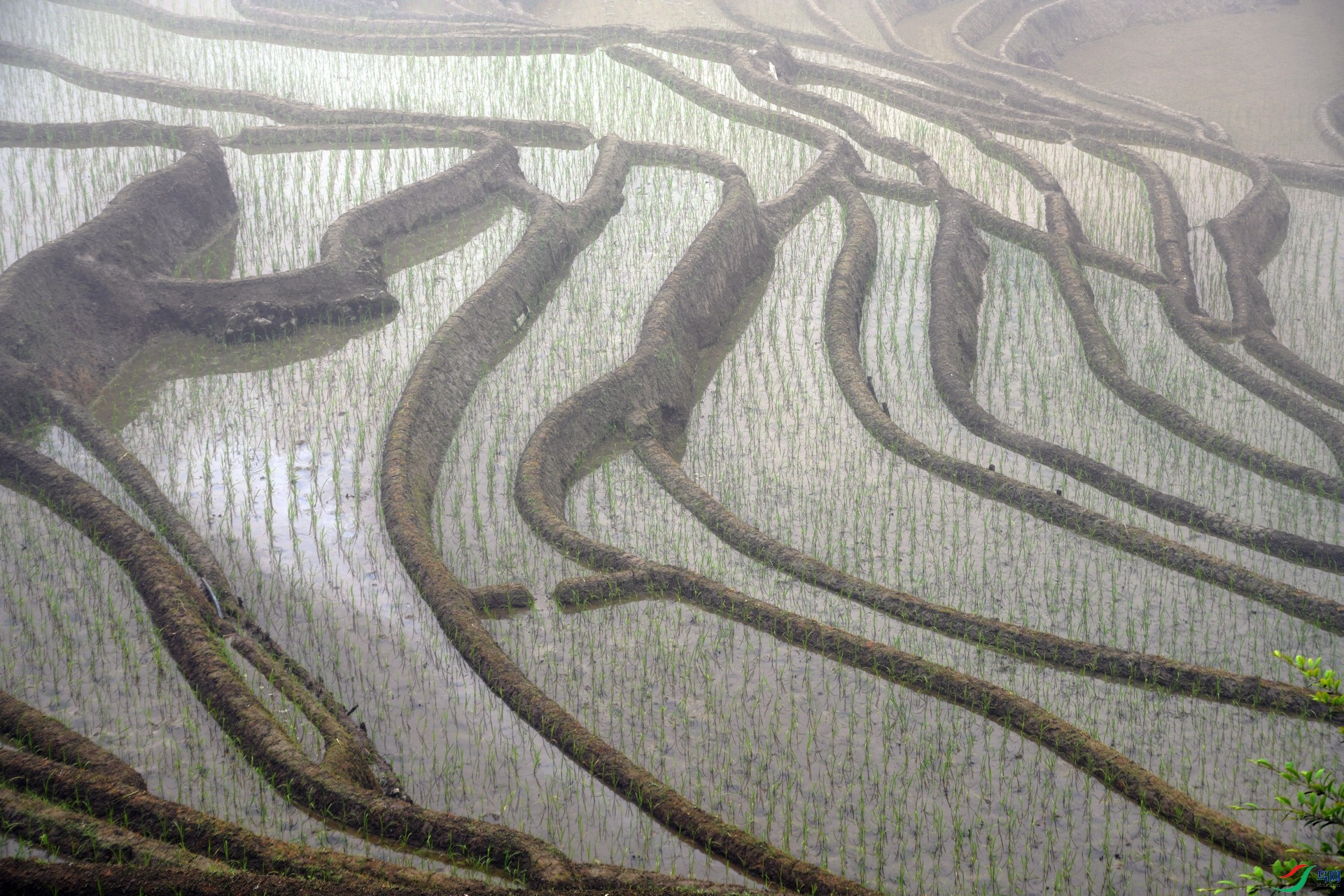 DSC_6142.jpg