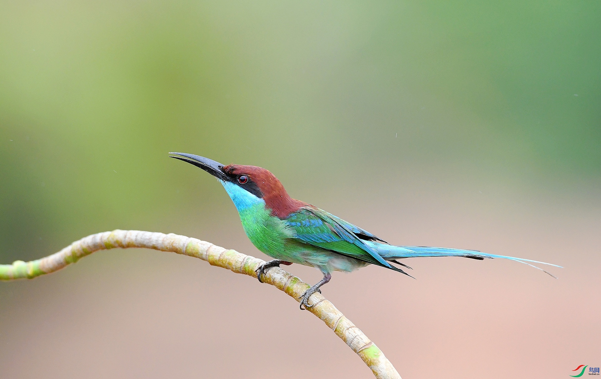 DSC_8365.jpg