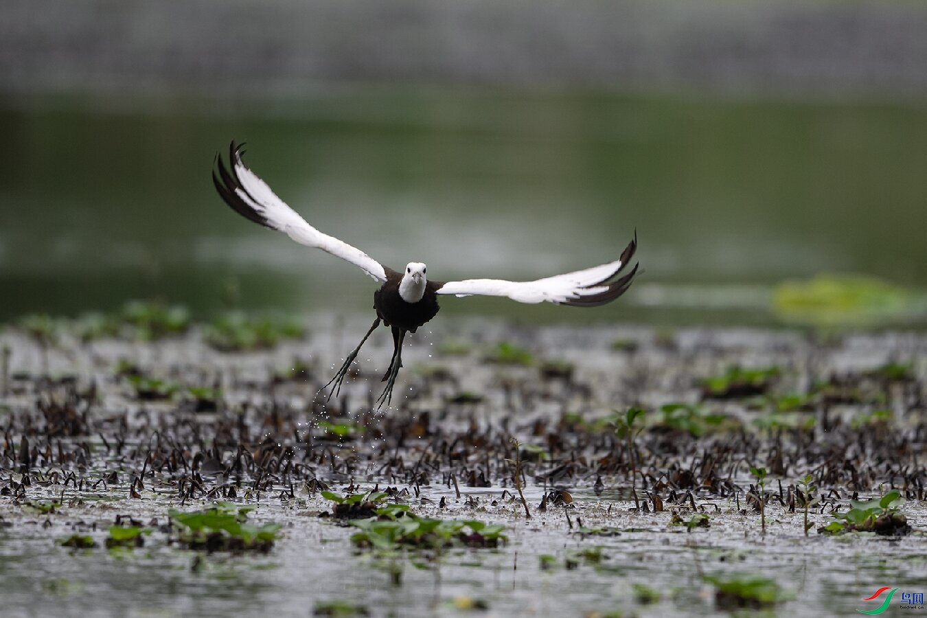 _DSC4699 ����.jpg