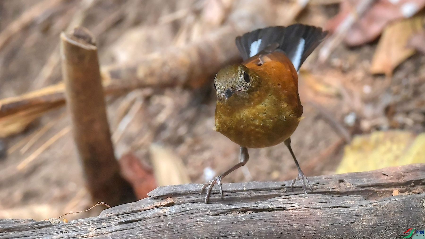 �����24.6% ��β����� ȸ��Ŀ���ơ����.jpg