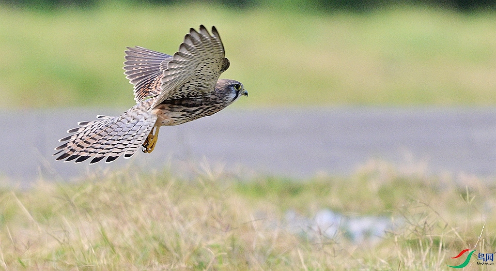 DSC_7872.JPG