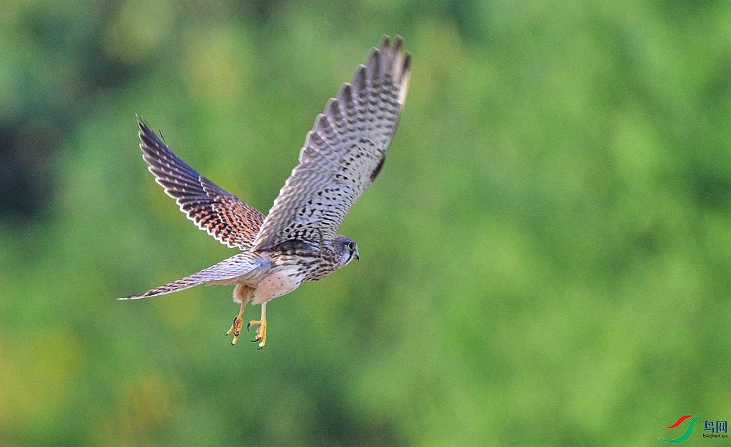 DSC_7956.JPG