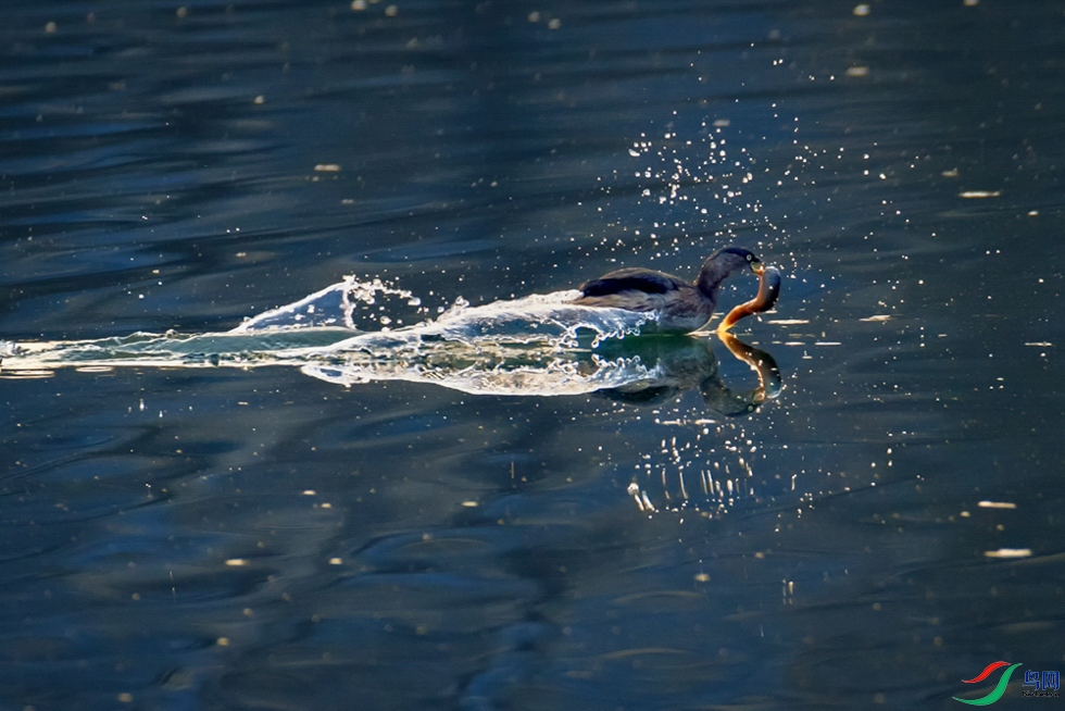 ���� ����-1.jpeg