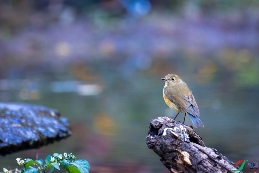 _X7A8725 ����.jpeg