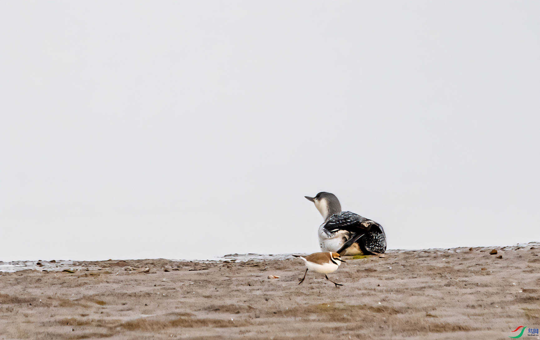 DSC_5393-11.jpg